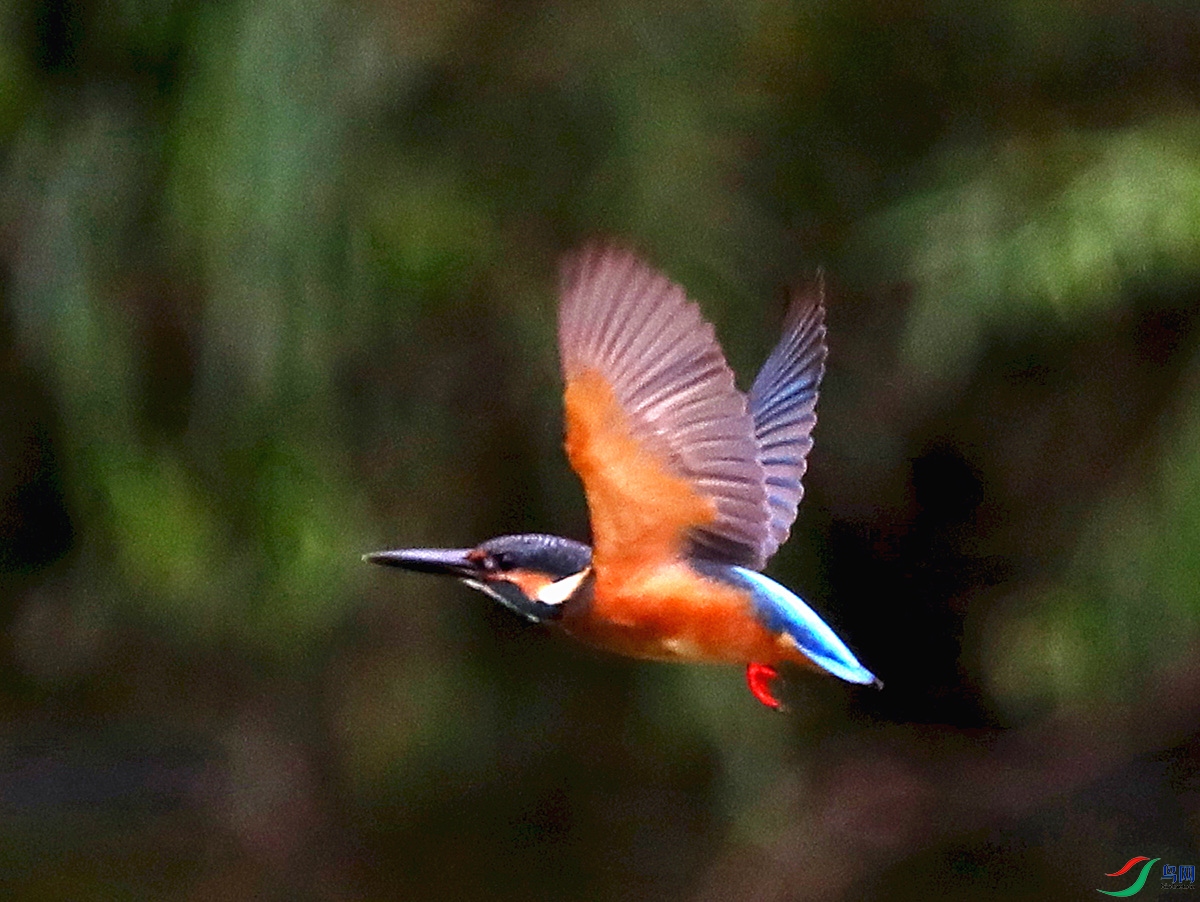 AS5A9403 33_����.jpg