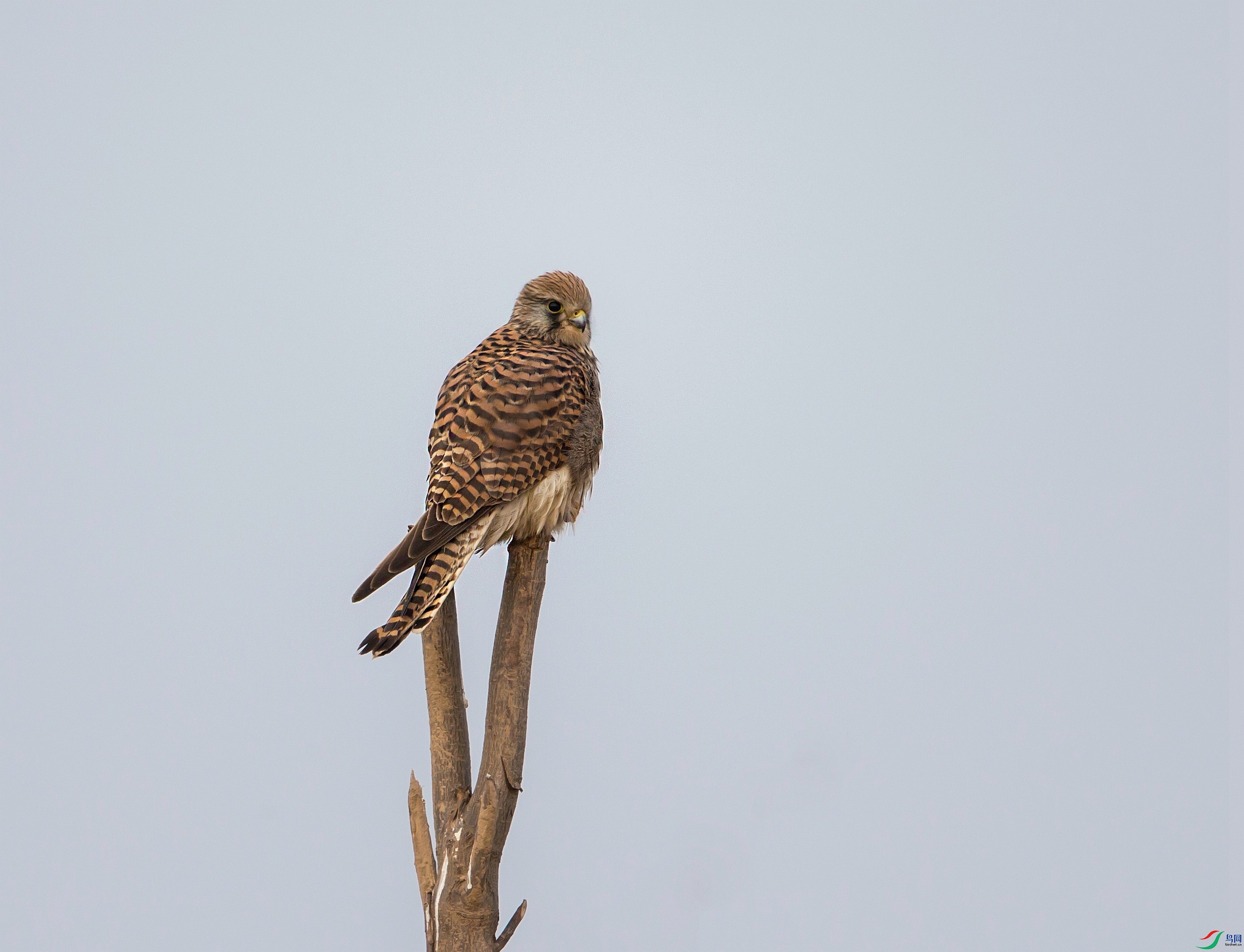 B19X0839.jpg