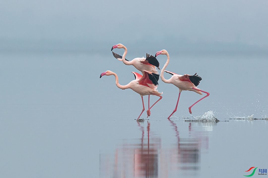 _05I6275-1-1 - 1080.jpg