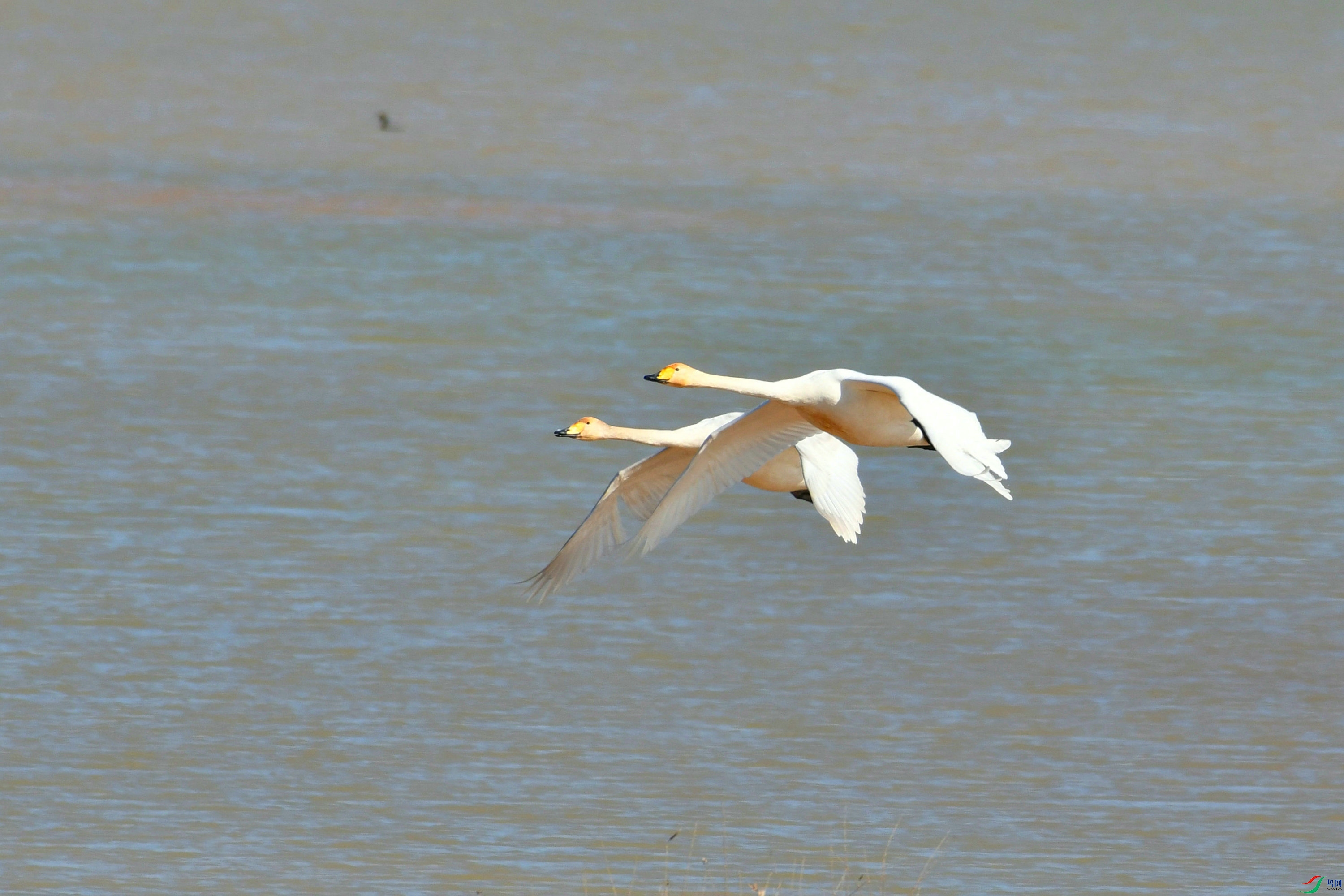 DSC_2799.JPG