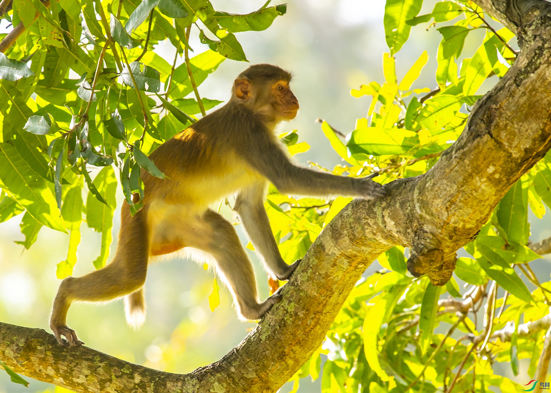 4960 ����.jpg