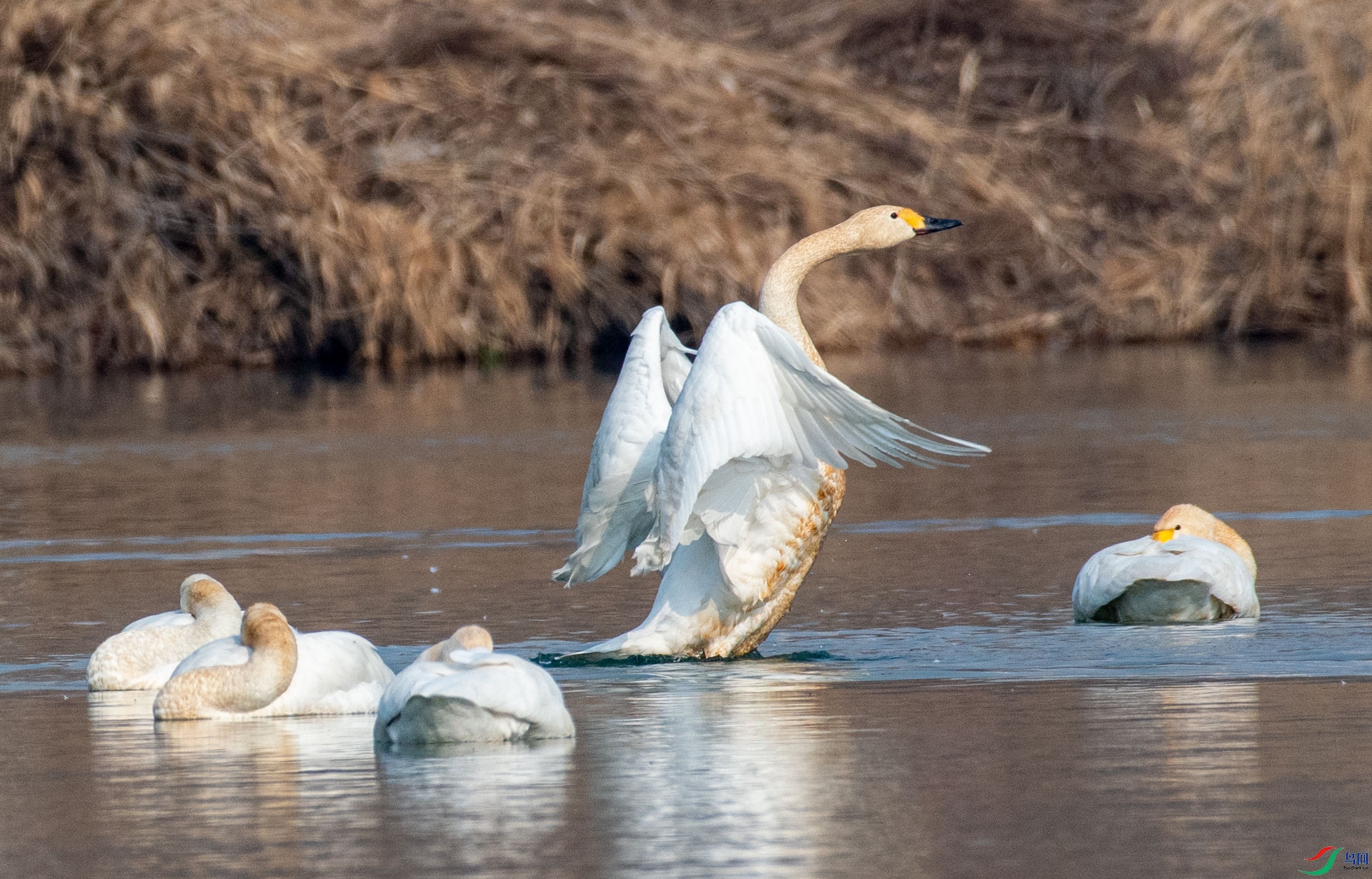 DSC_1151.jpg
