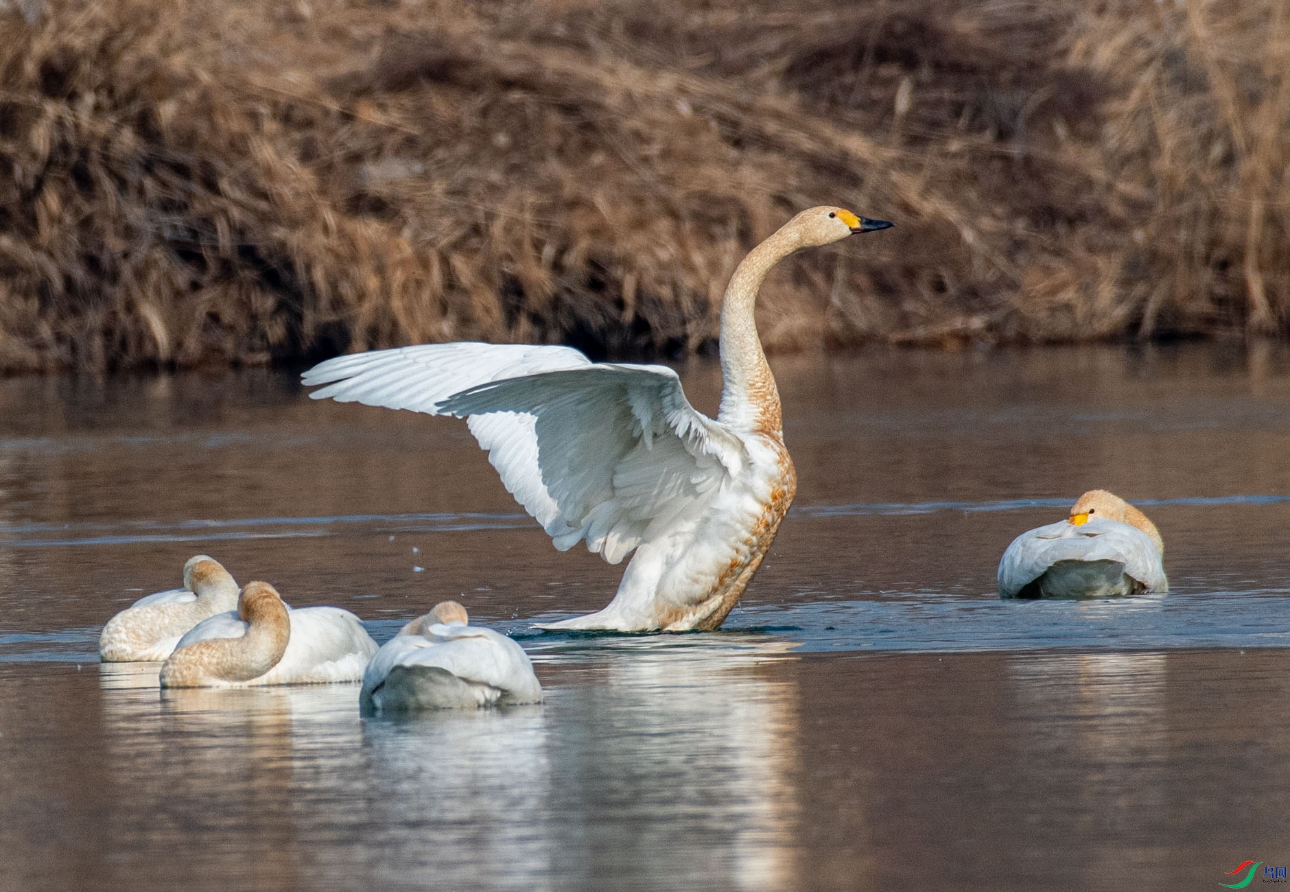DSC_1152.jpg