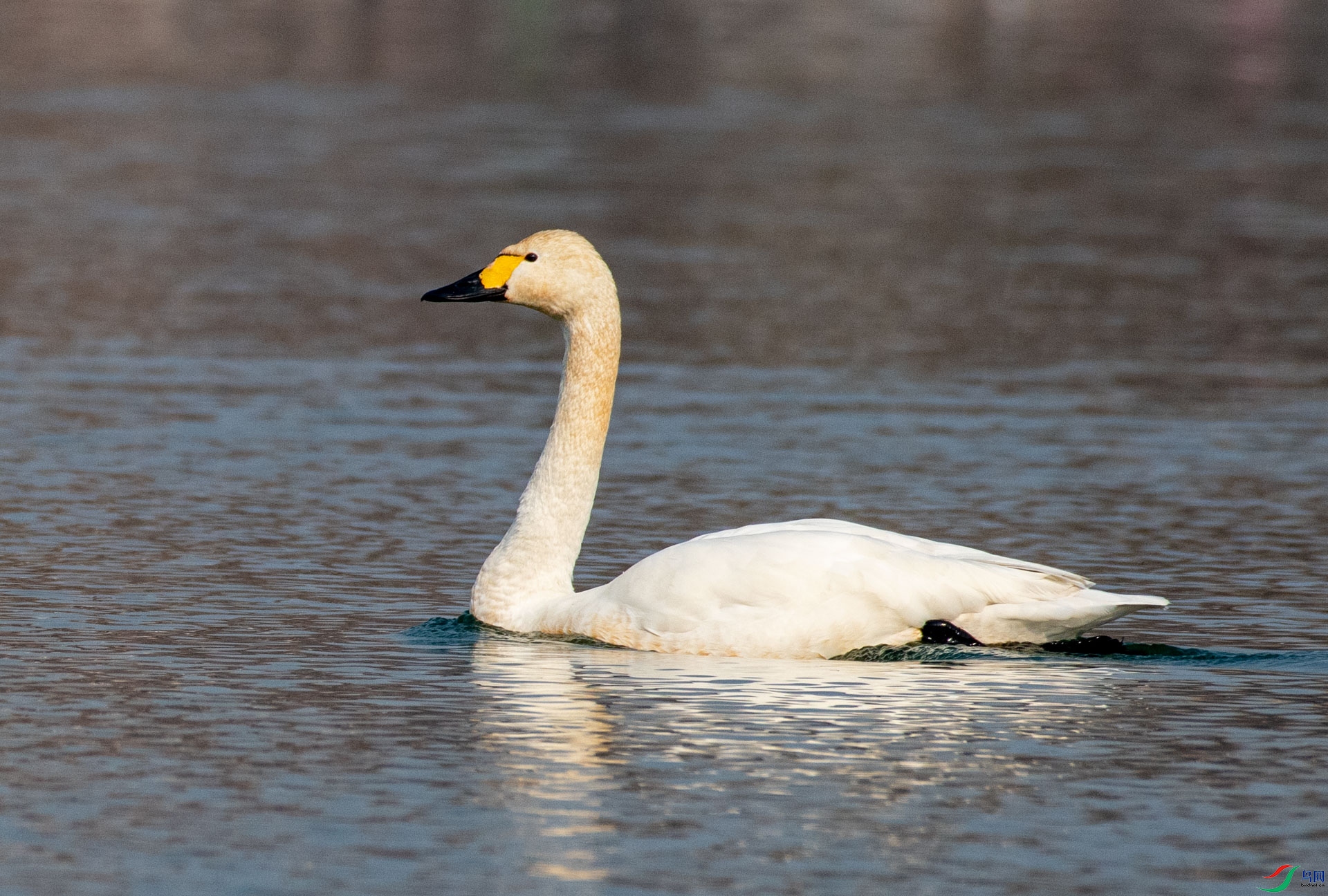 DSC_1444.jpg