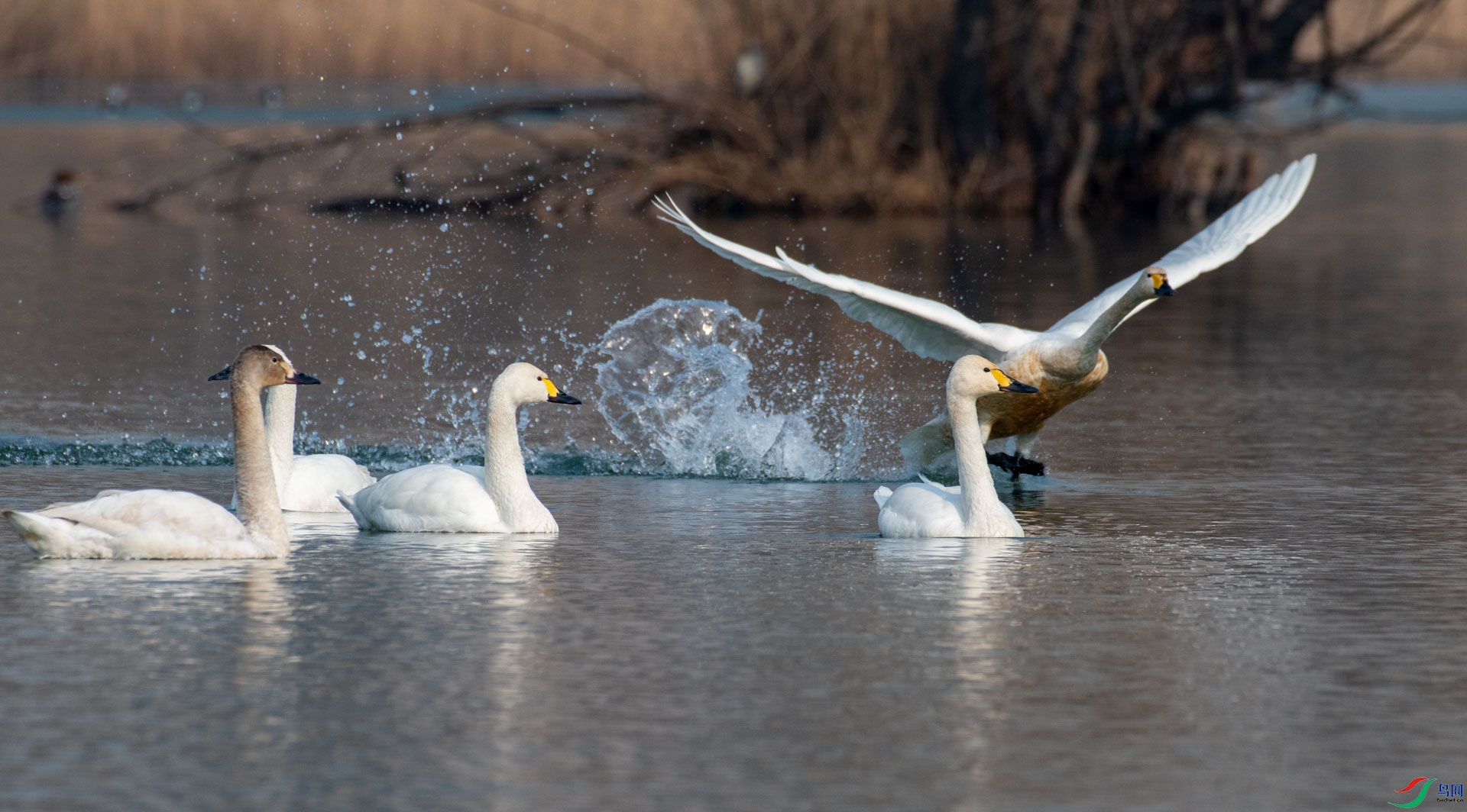 DSC_1389.jpg