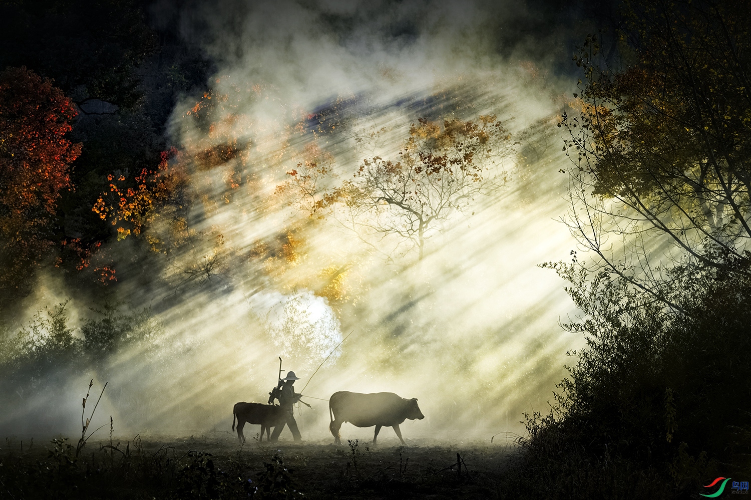 XSX_9236 ����.jpg