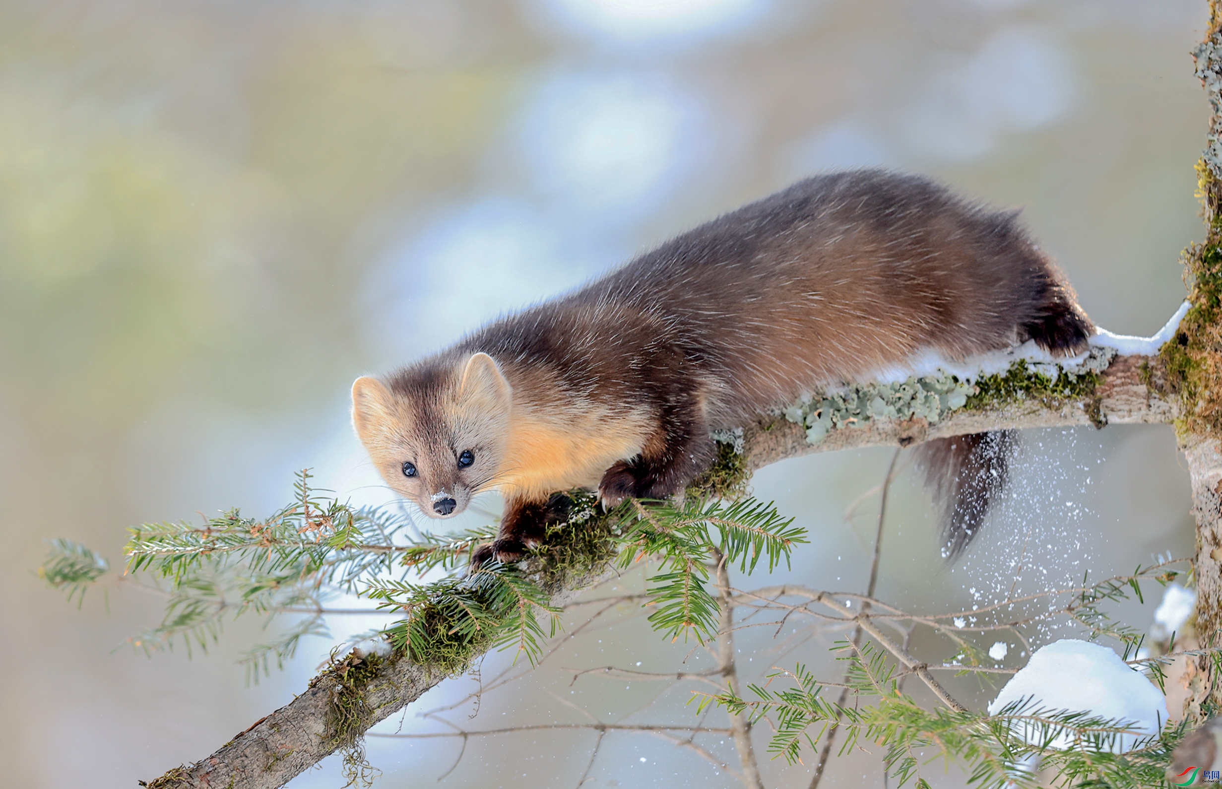 1Q6A1982 (2)_����_����.jpg