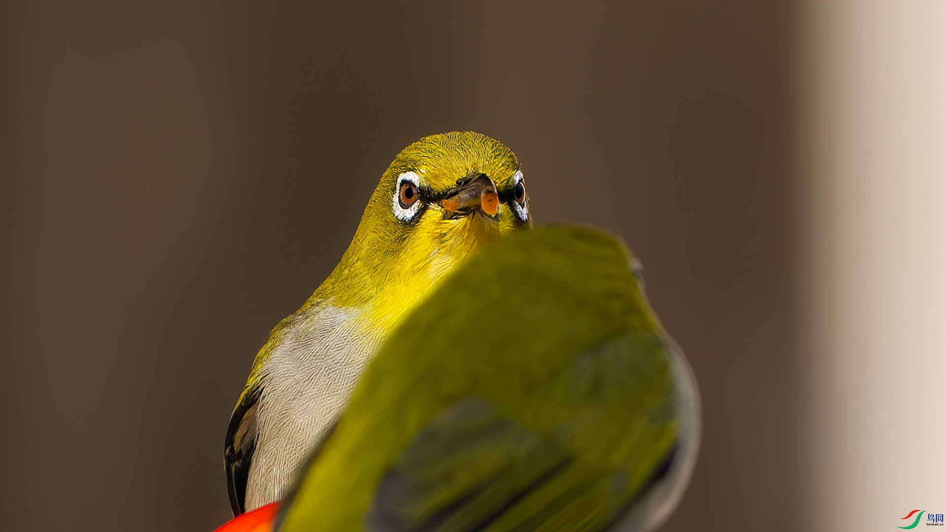 DSC01751-ARW_DxO_DeepPRIME.jpg