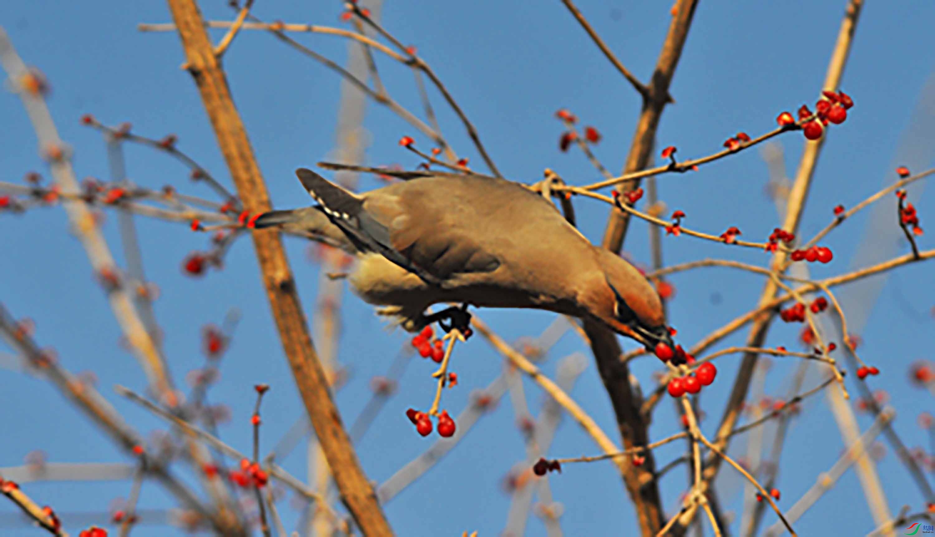 DSC_2120.JPG