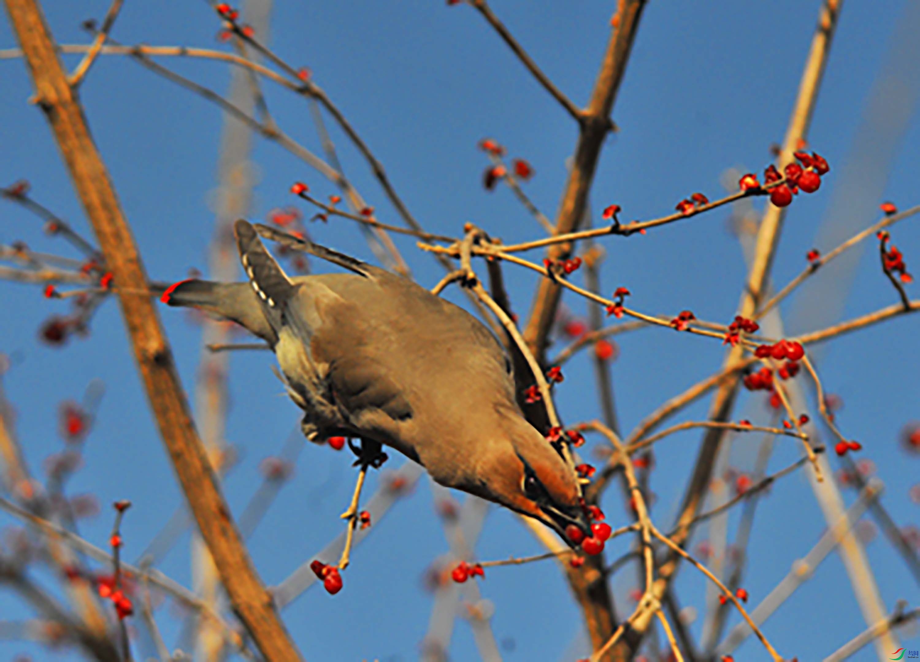 DSC_2141.JPG