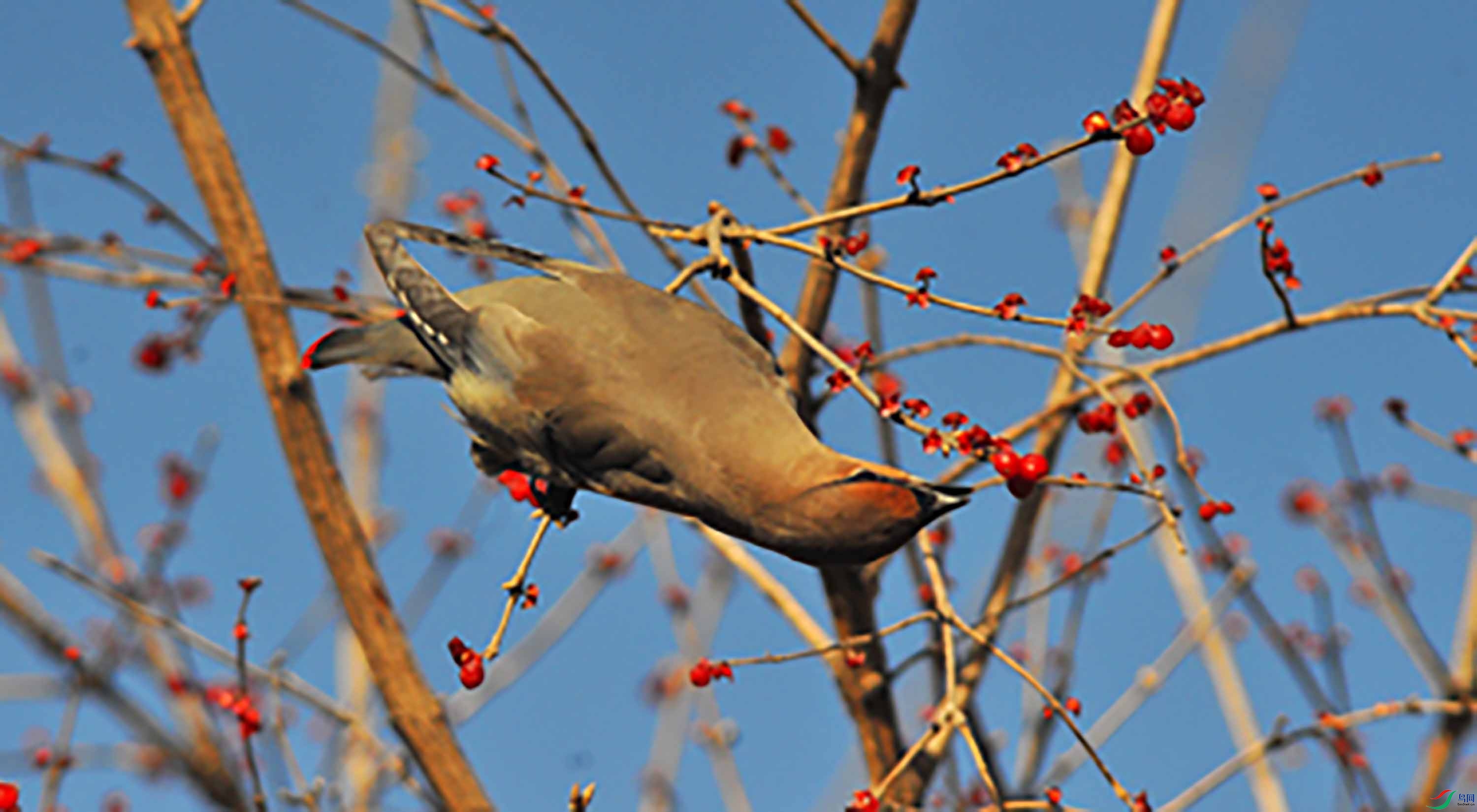 DSC_2140.JPG