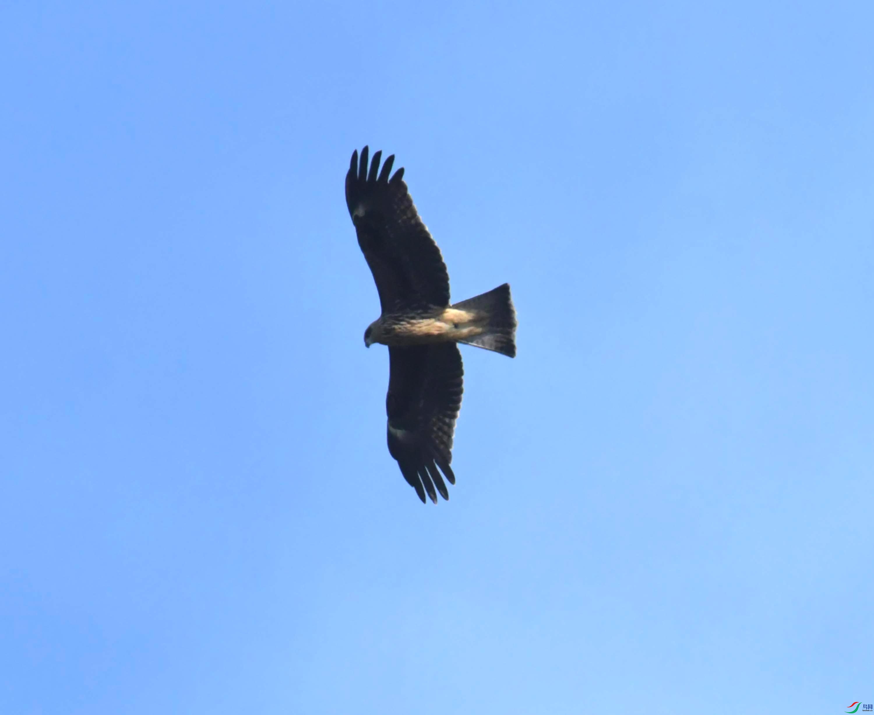 DSC_0110.JPG