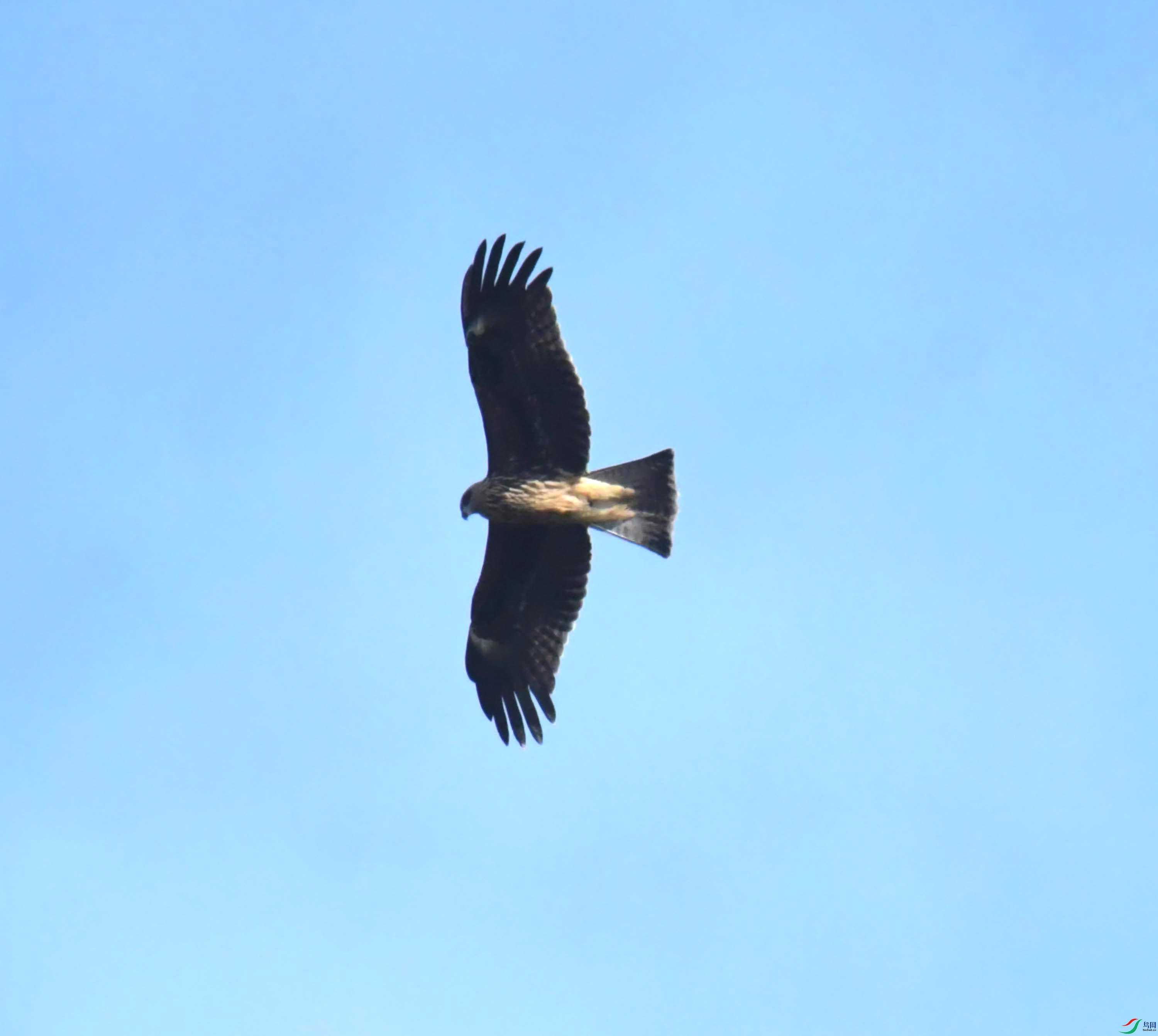 DSC_0448.JPG