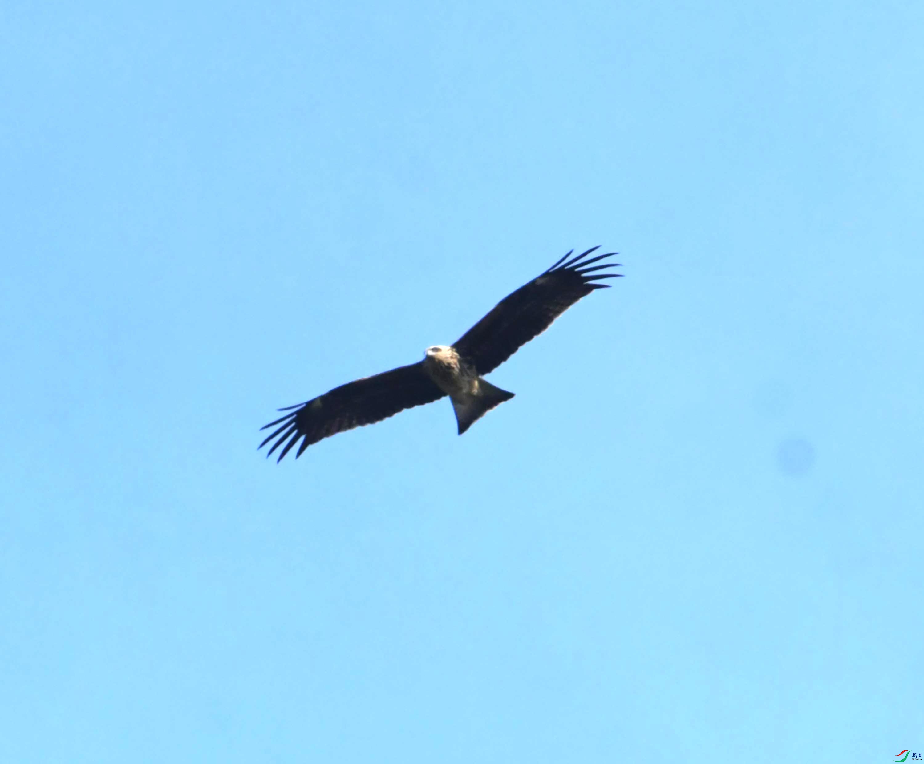DSC_0455.JPG