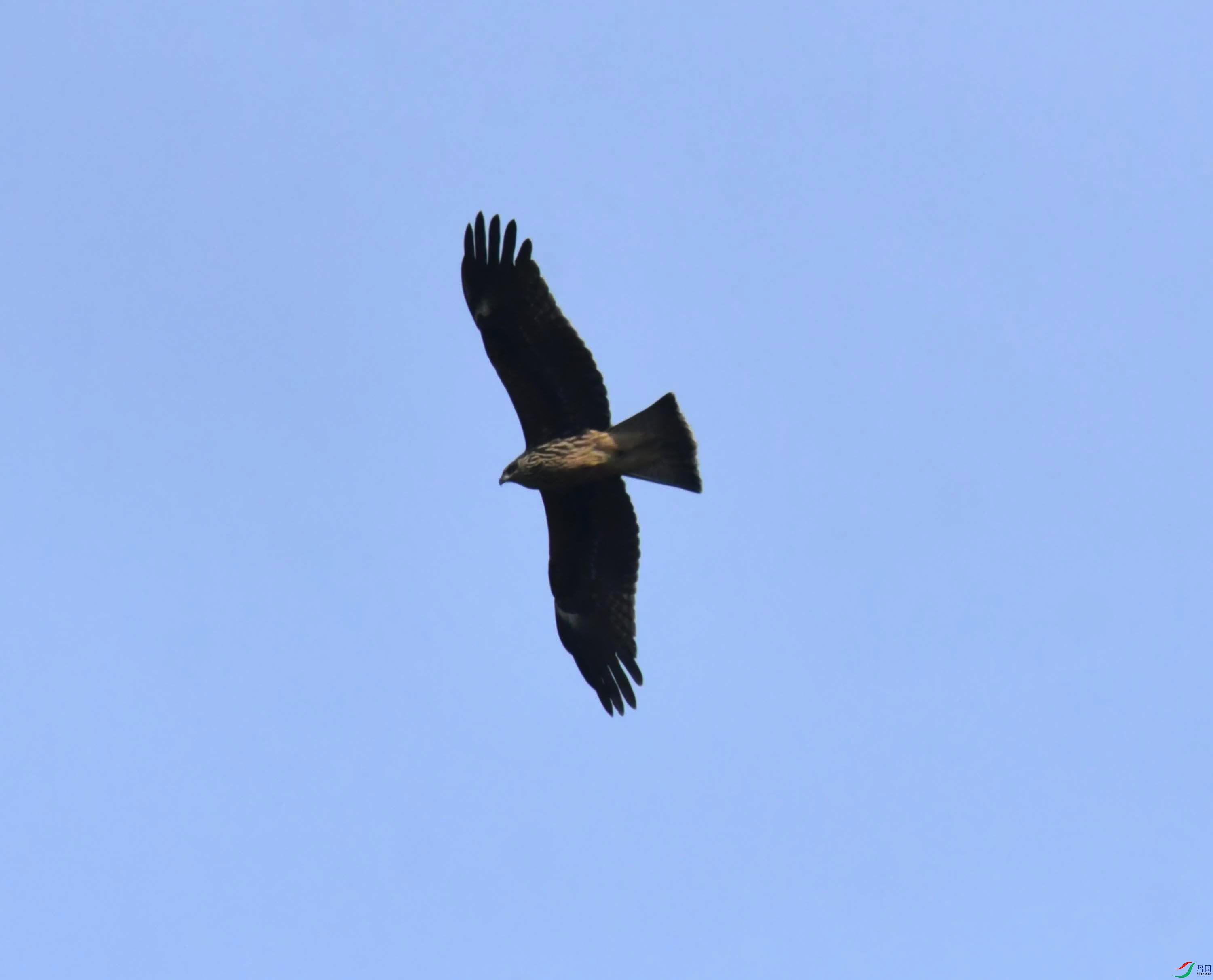 DSC_0461.JPG