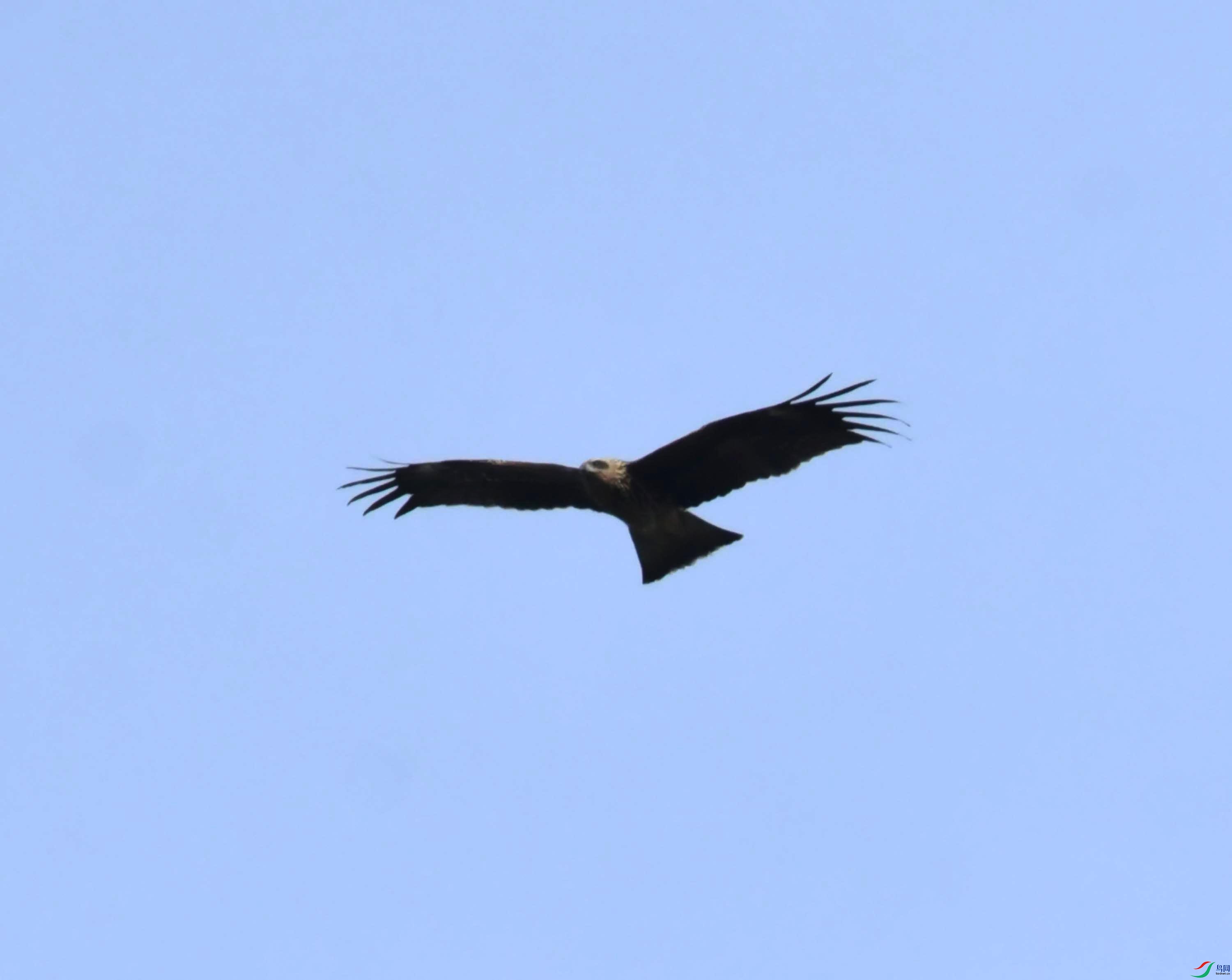 DSC_0463.JPG
