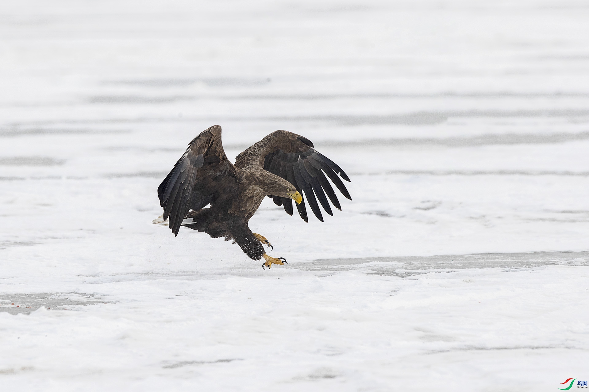 CD0I5029 ����.jpg