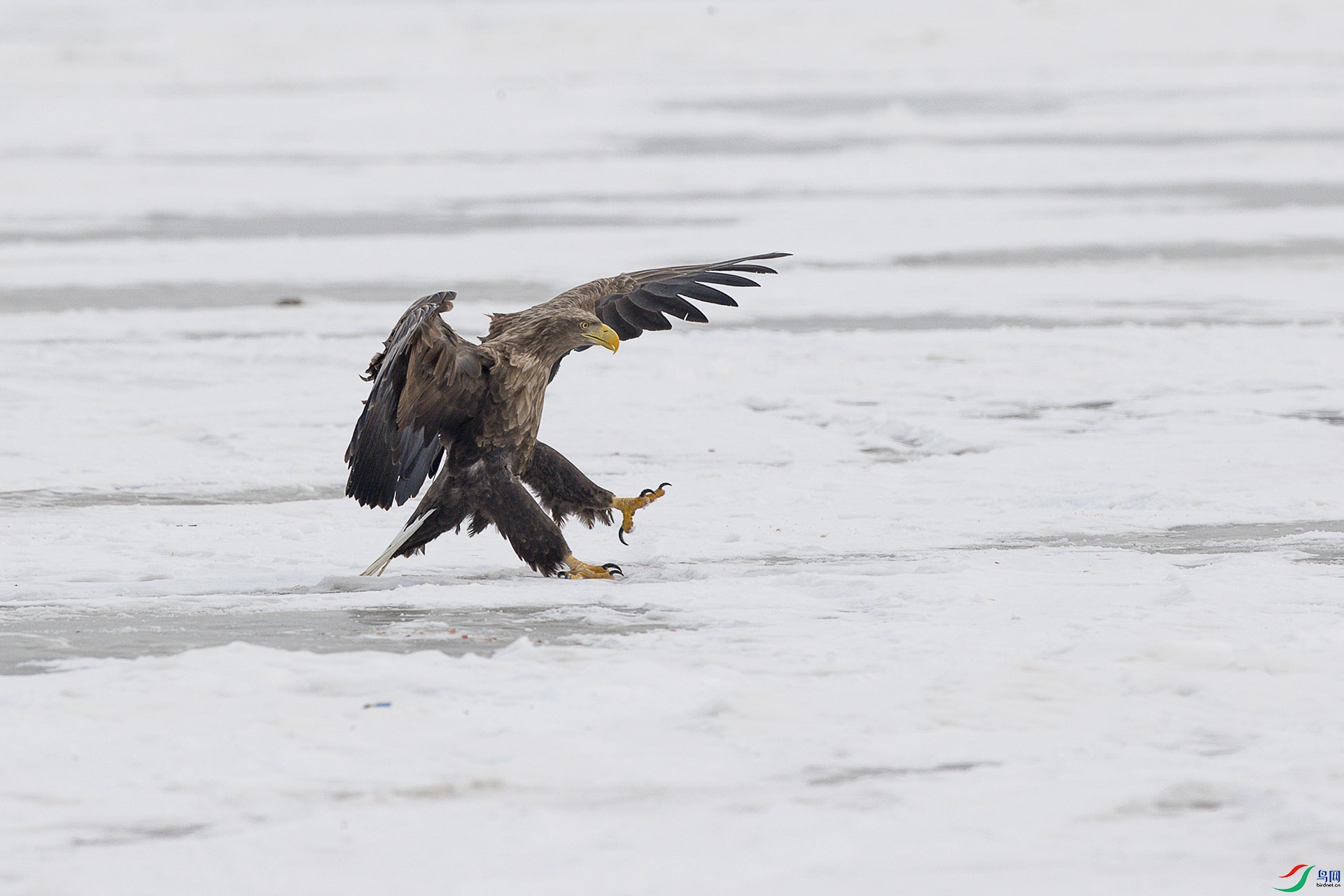 CD0I5024 ����.jpg