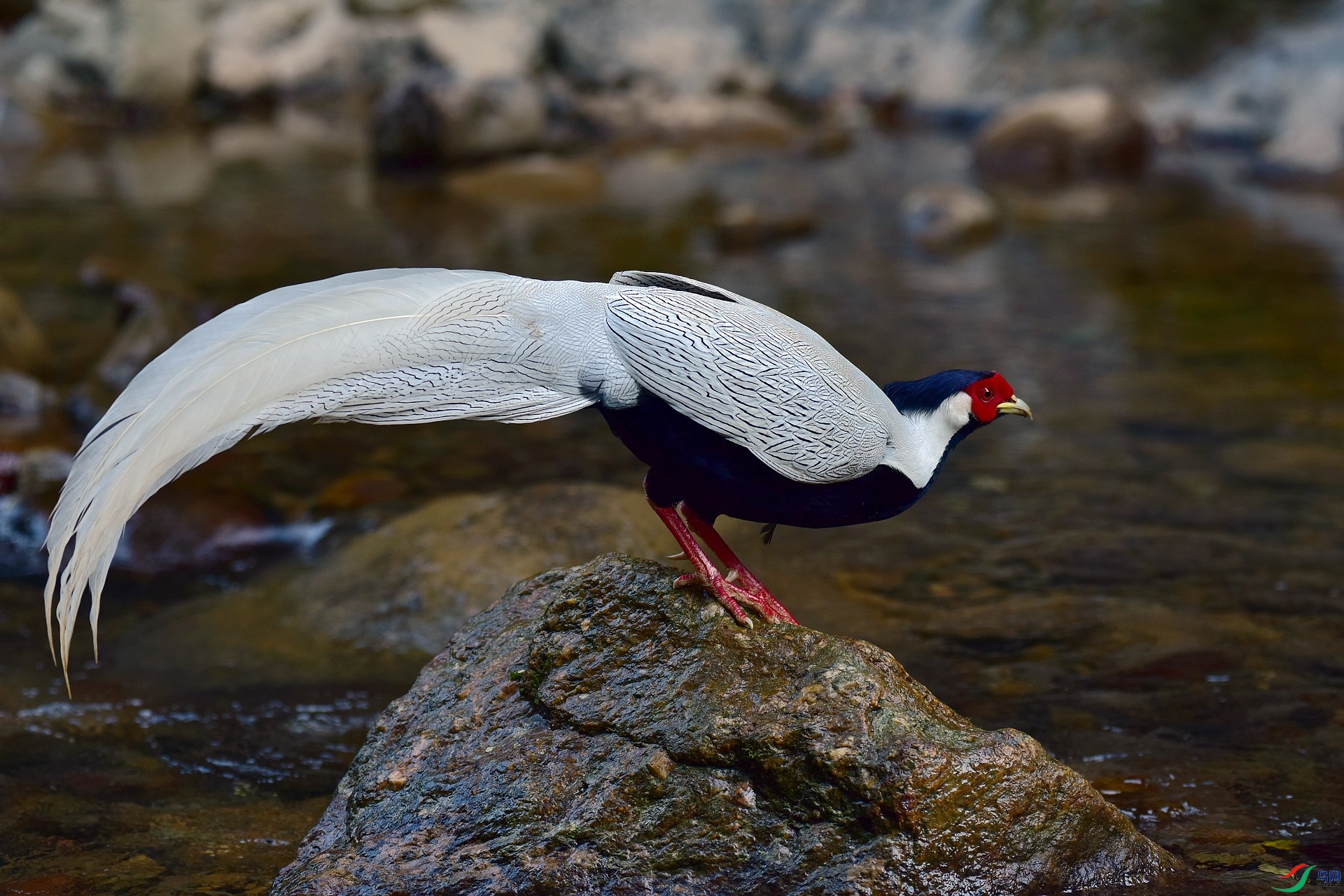 D8I_3265.jpg