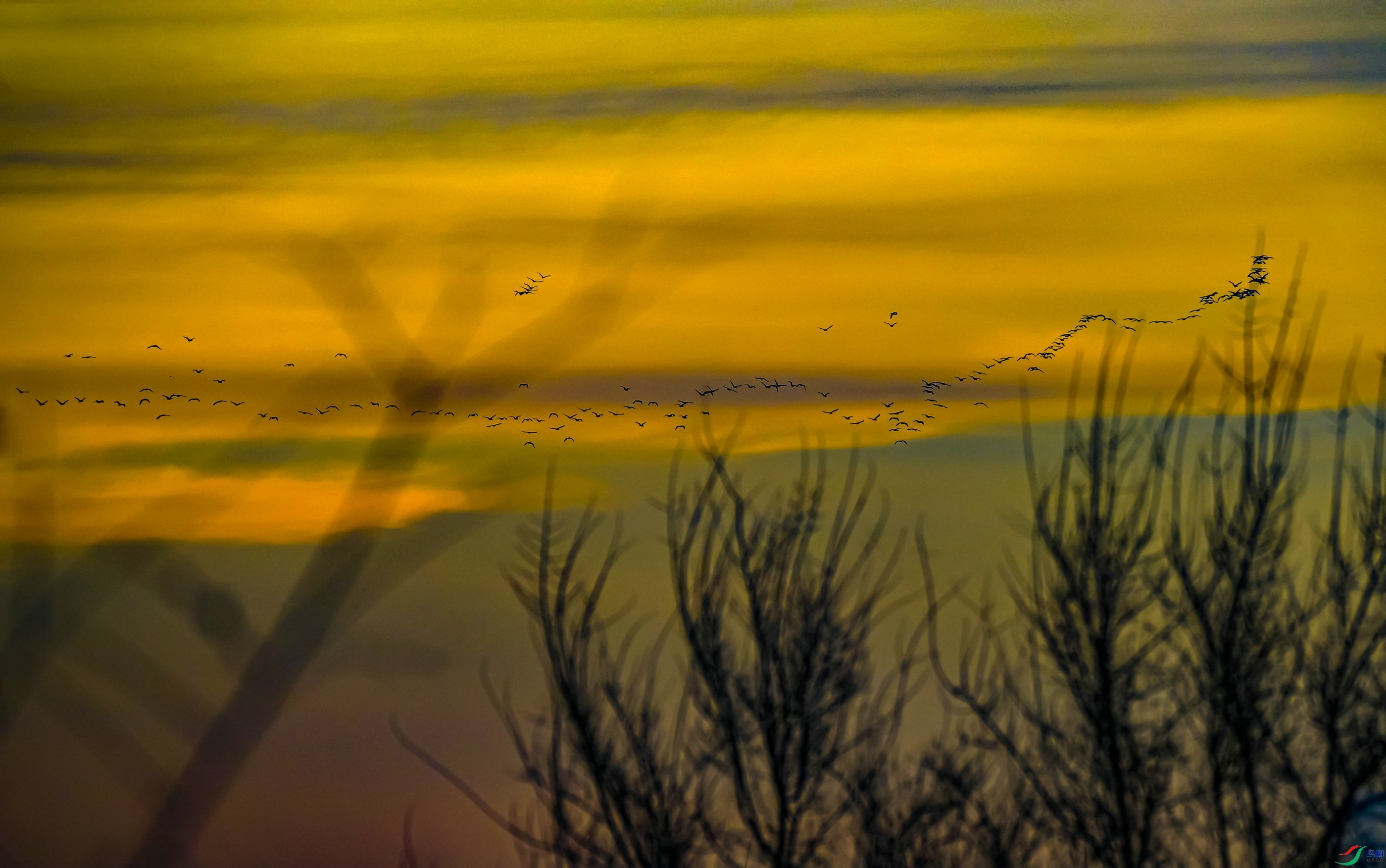 Ǩ�������