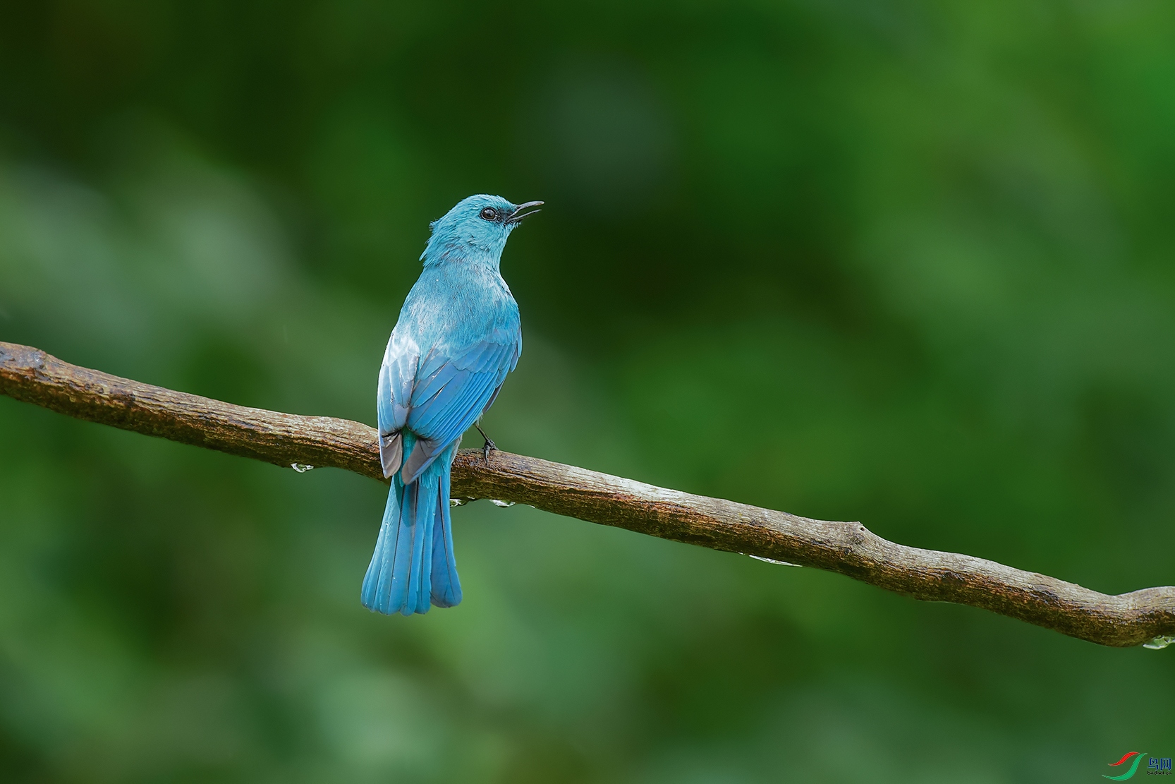 3DSC_4120_DxOa.jpg