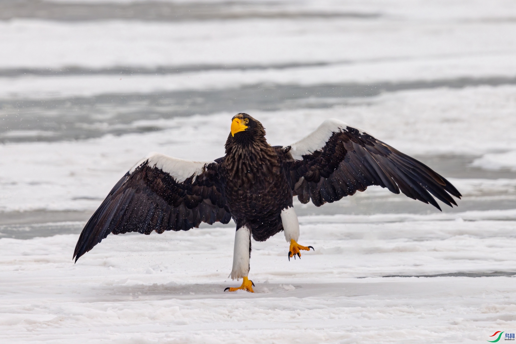 274A0202 denoise_����.jpg