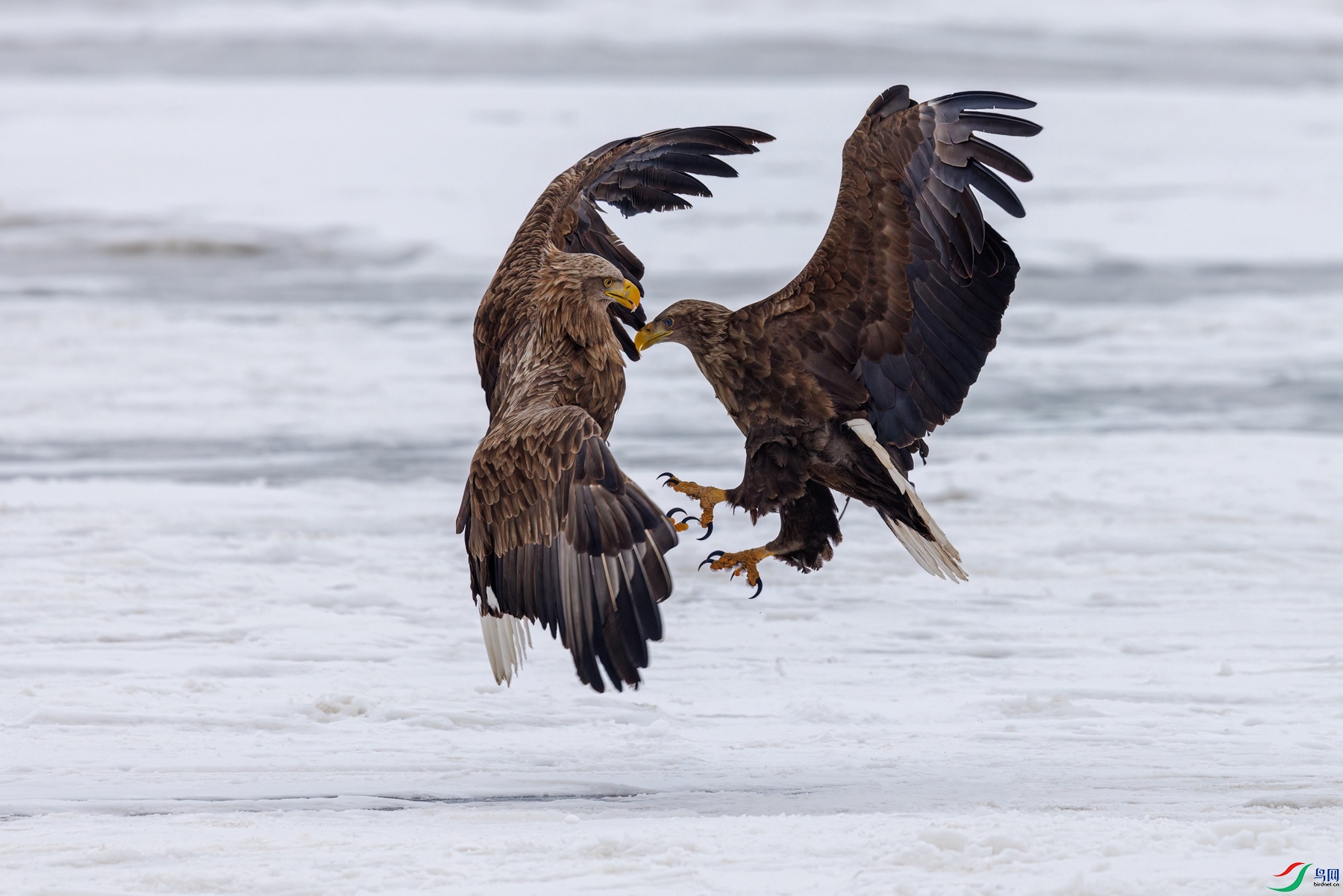 274A1544 denoise_����.jpg