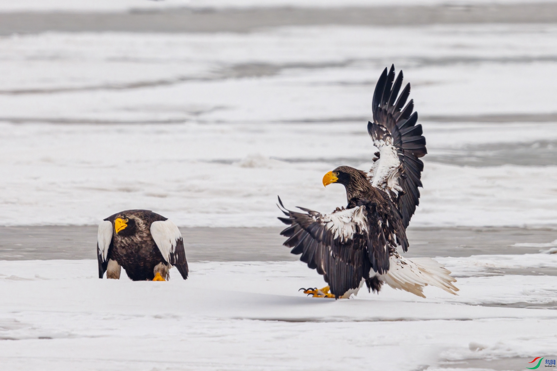 274A0285 denoise_����.jpg