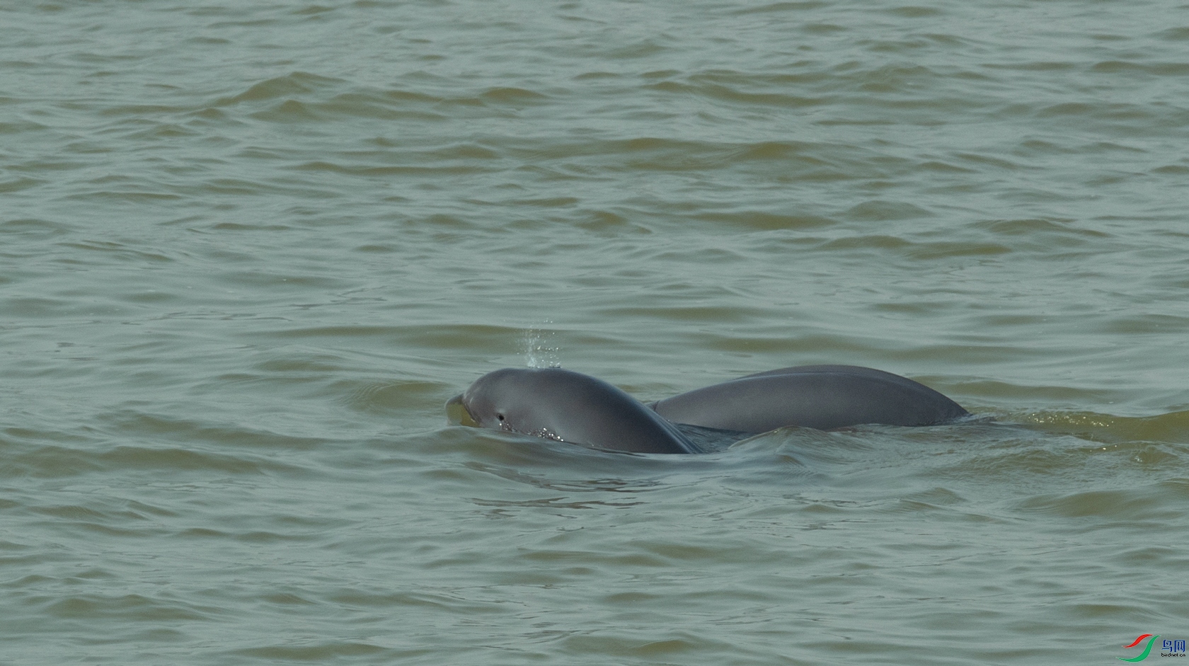 DSC_6035.jpg