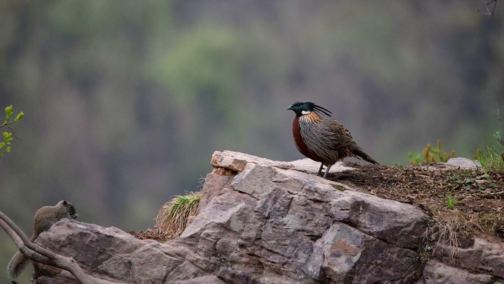 �׼�������