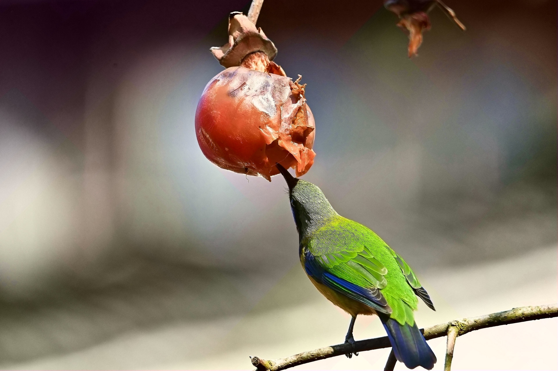 �ȸ�Ҷ��02_polarr_��Ӱ.jpg