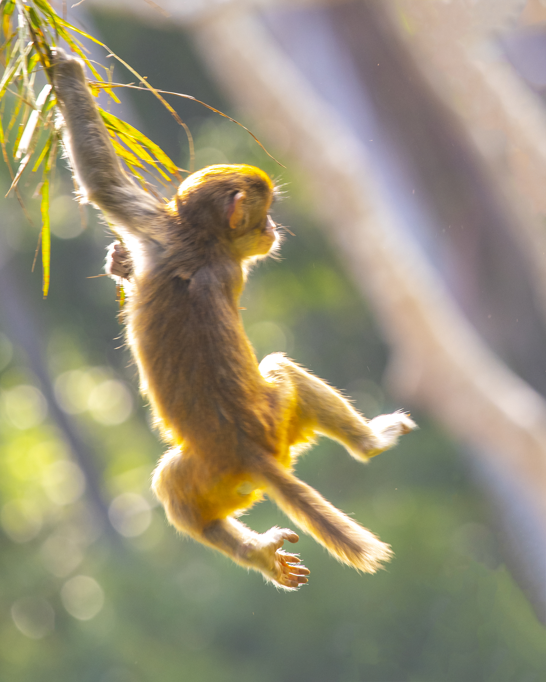 4981 ����.jpg