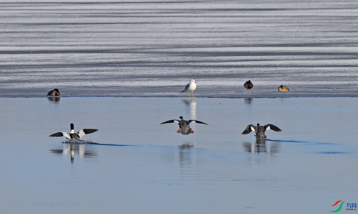 DSC_2424.jpg