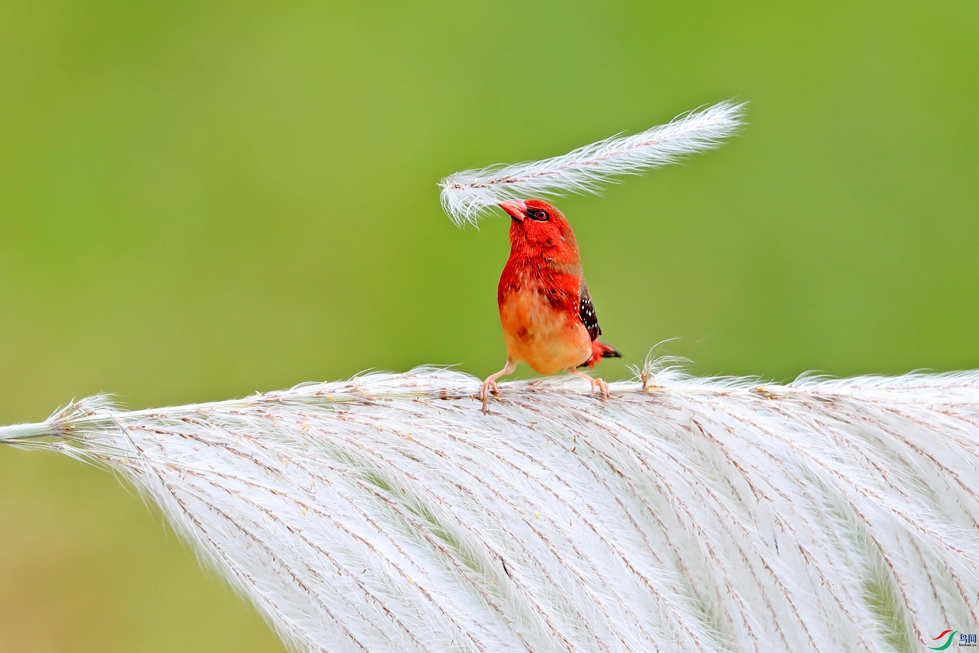 ��÷��ȸ0573-1.jpg