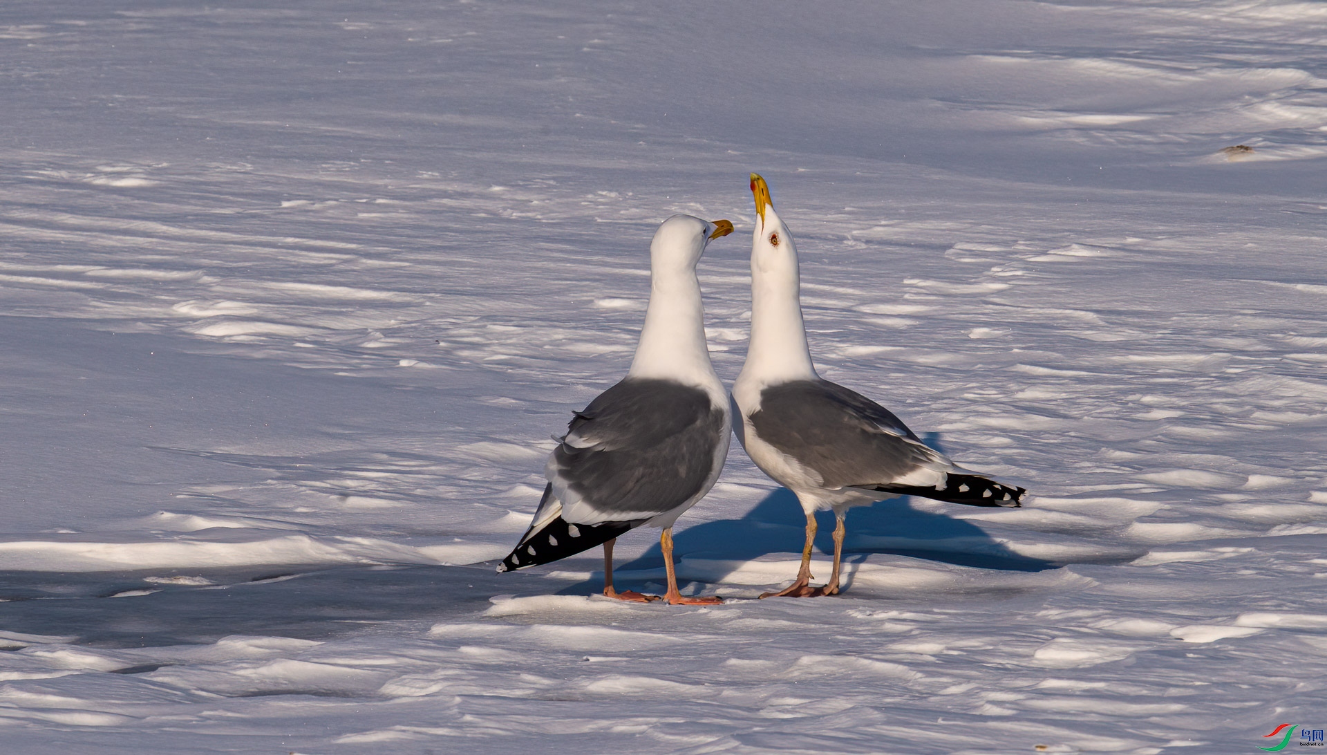 DSC_8712.jpg