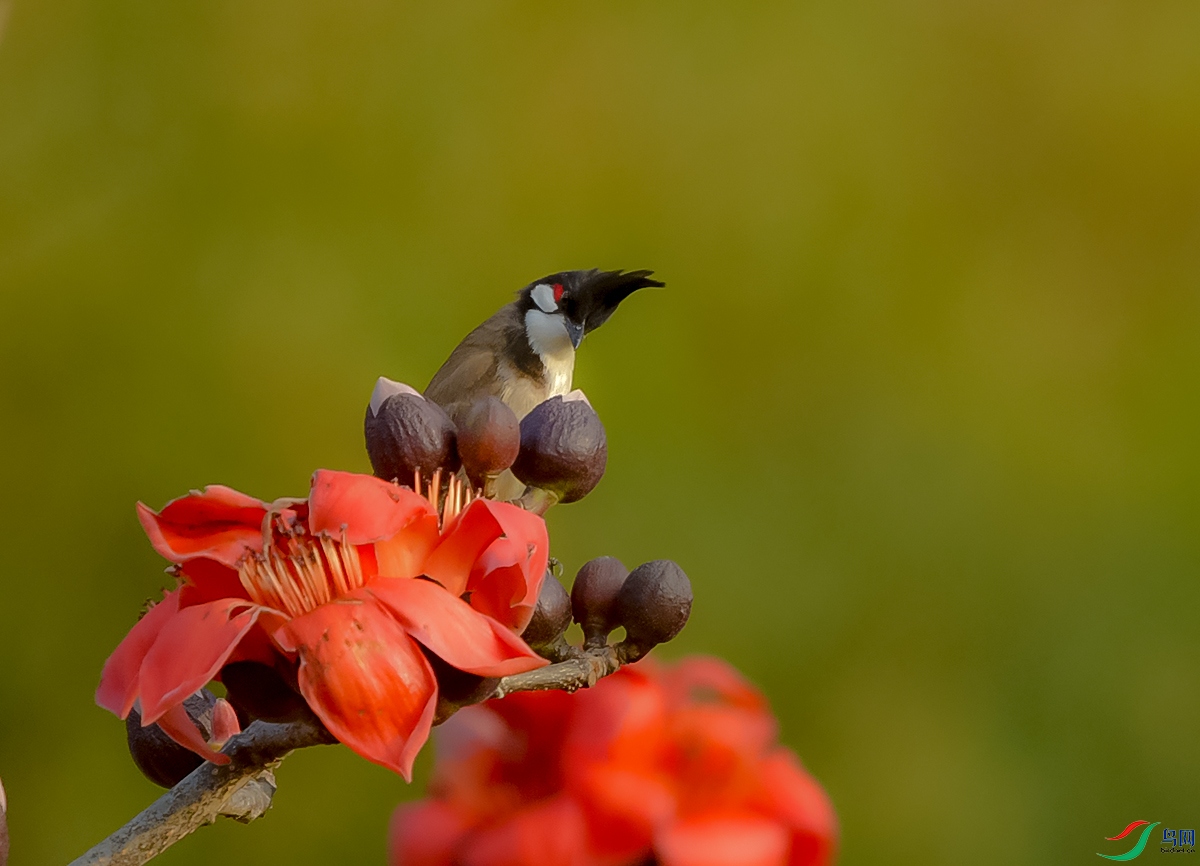 DSC_1590.JPG