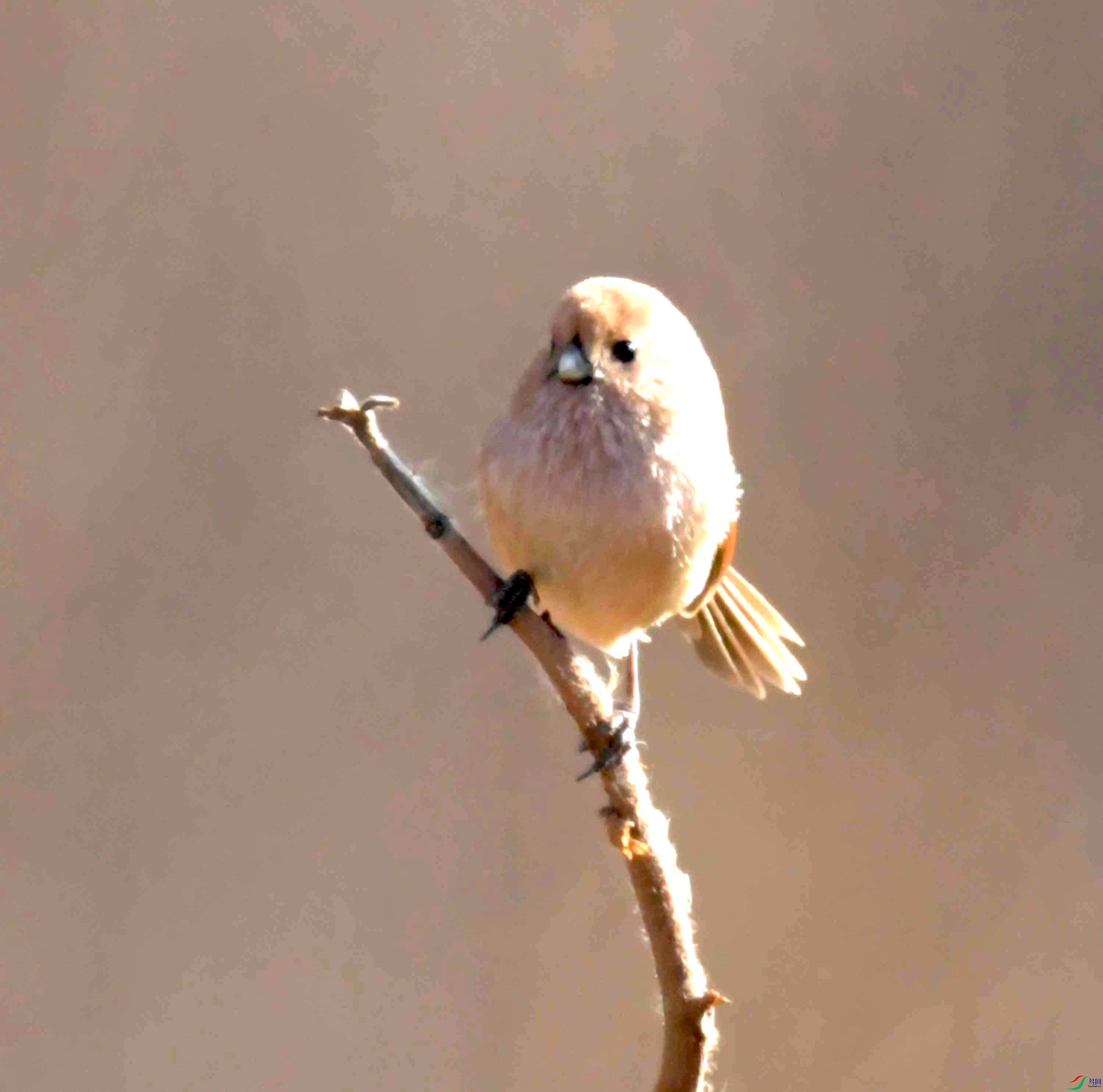 DSC_2867.JPG