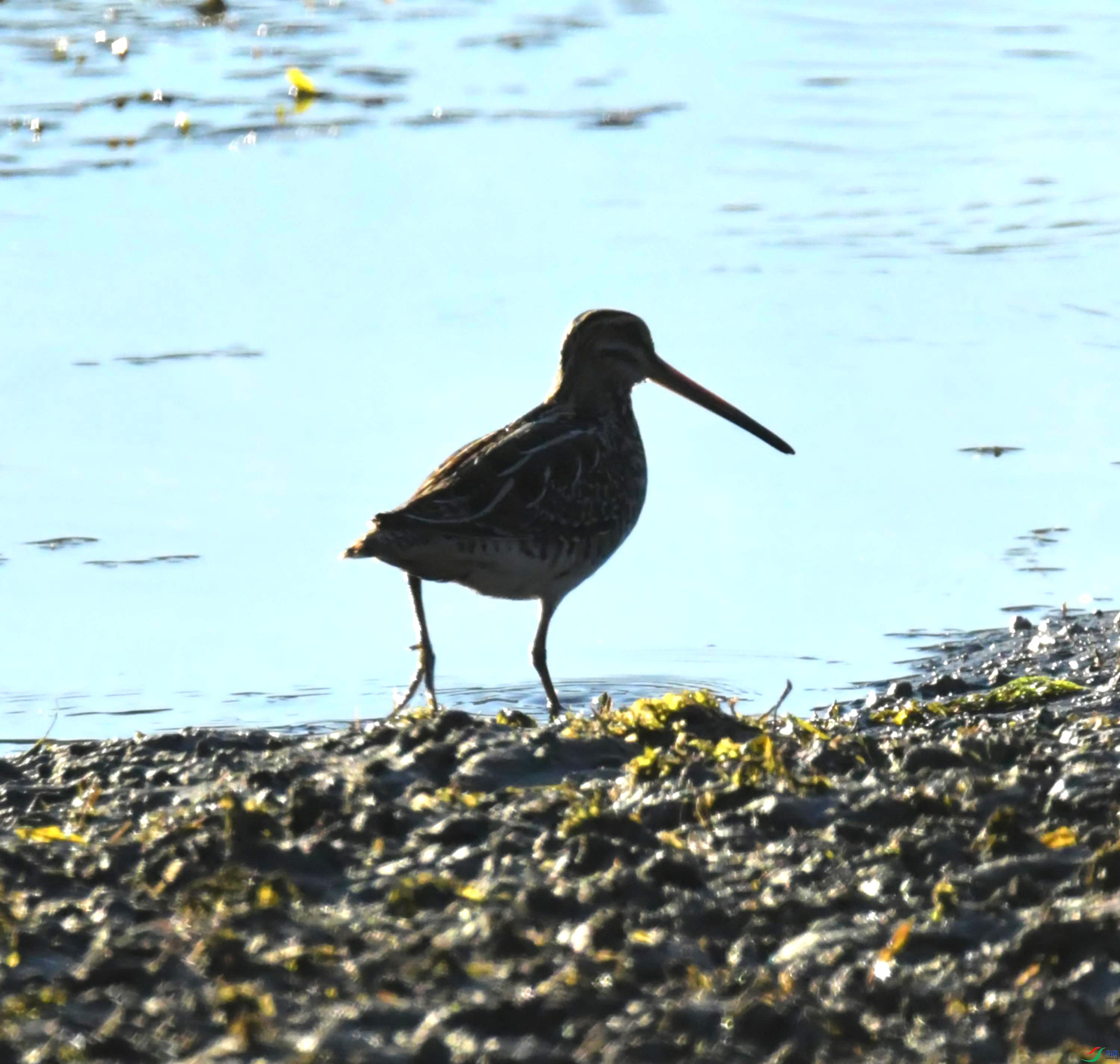 DSC_8635.JPG