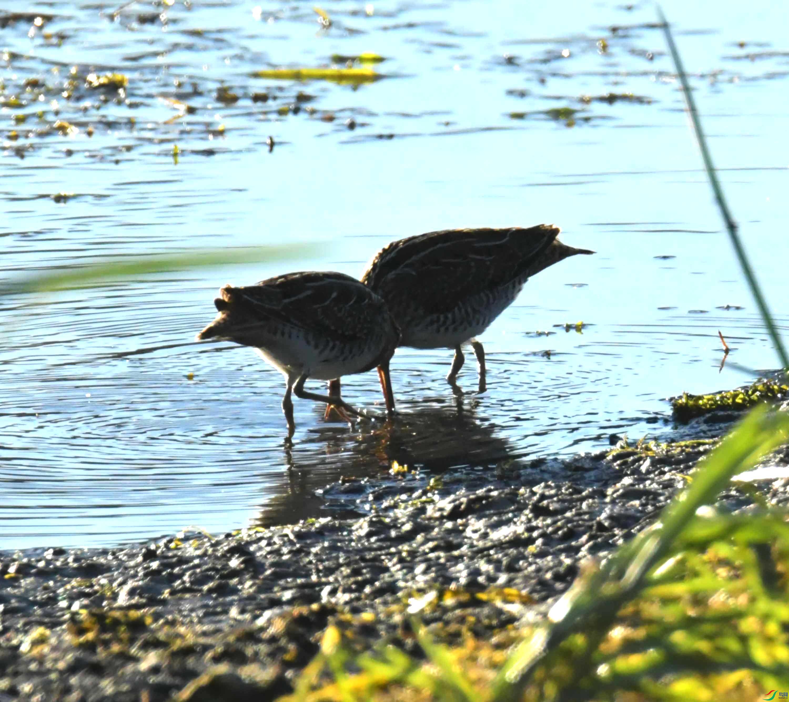 DSC_8639.JPG