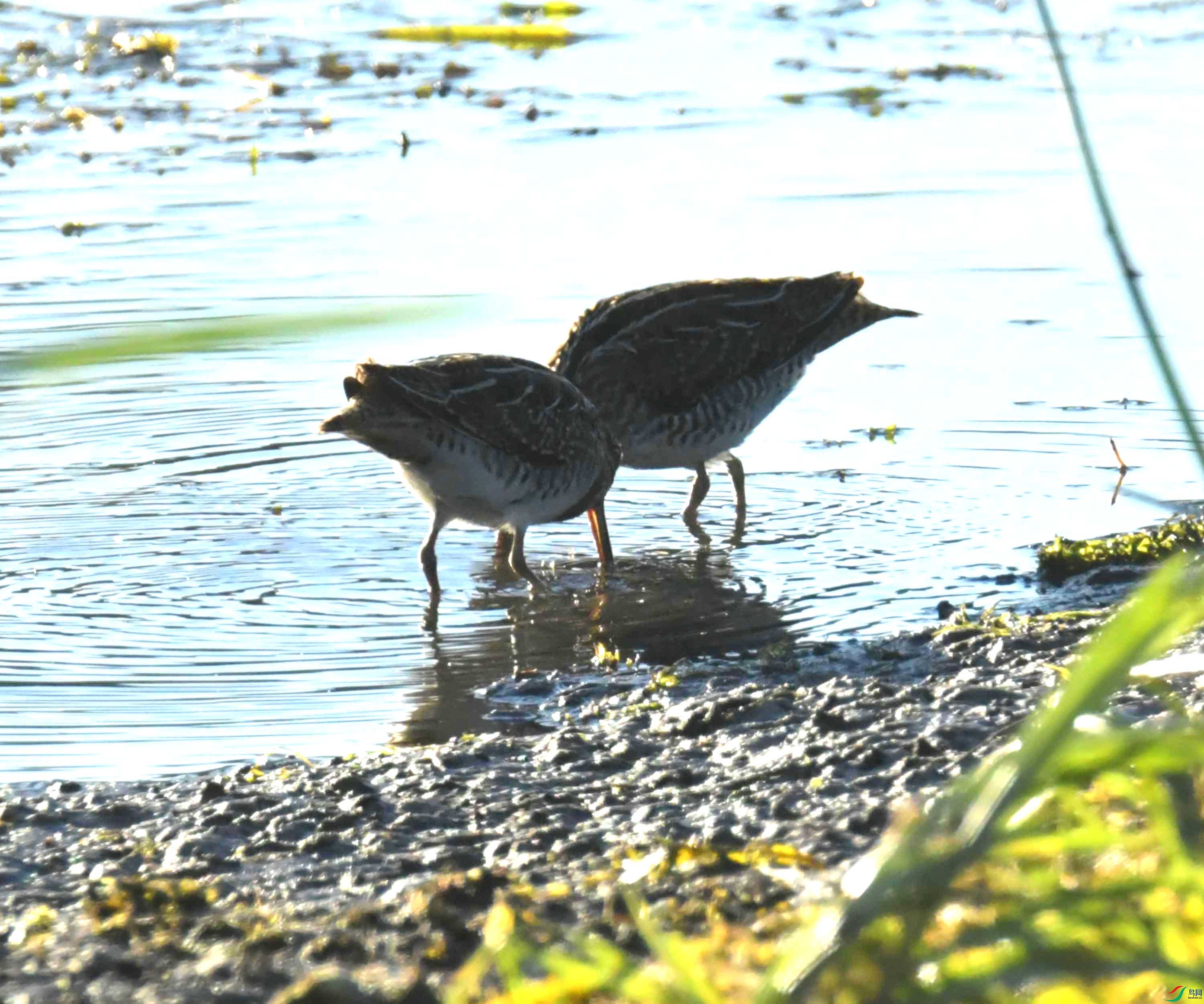 DSC_8640.JPG