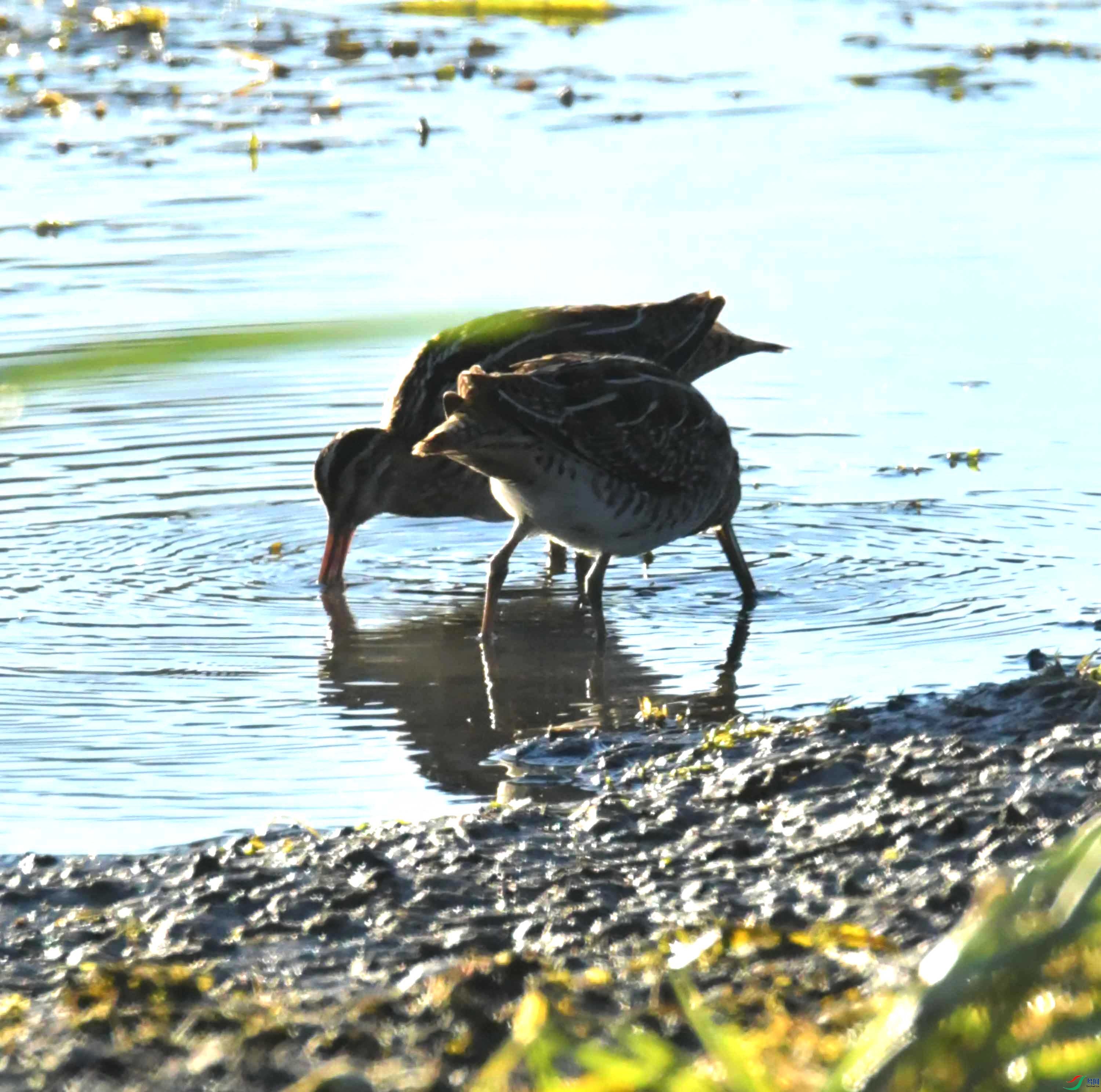 DSC_8644.JPG