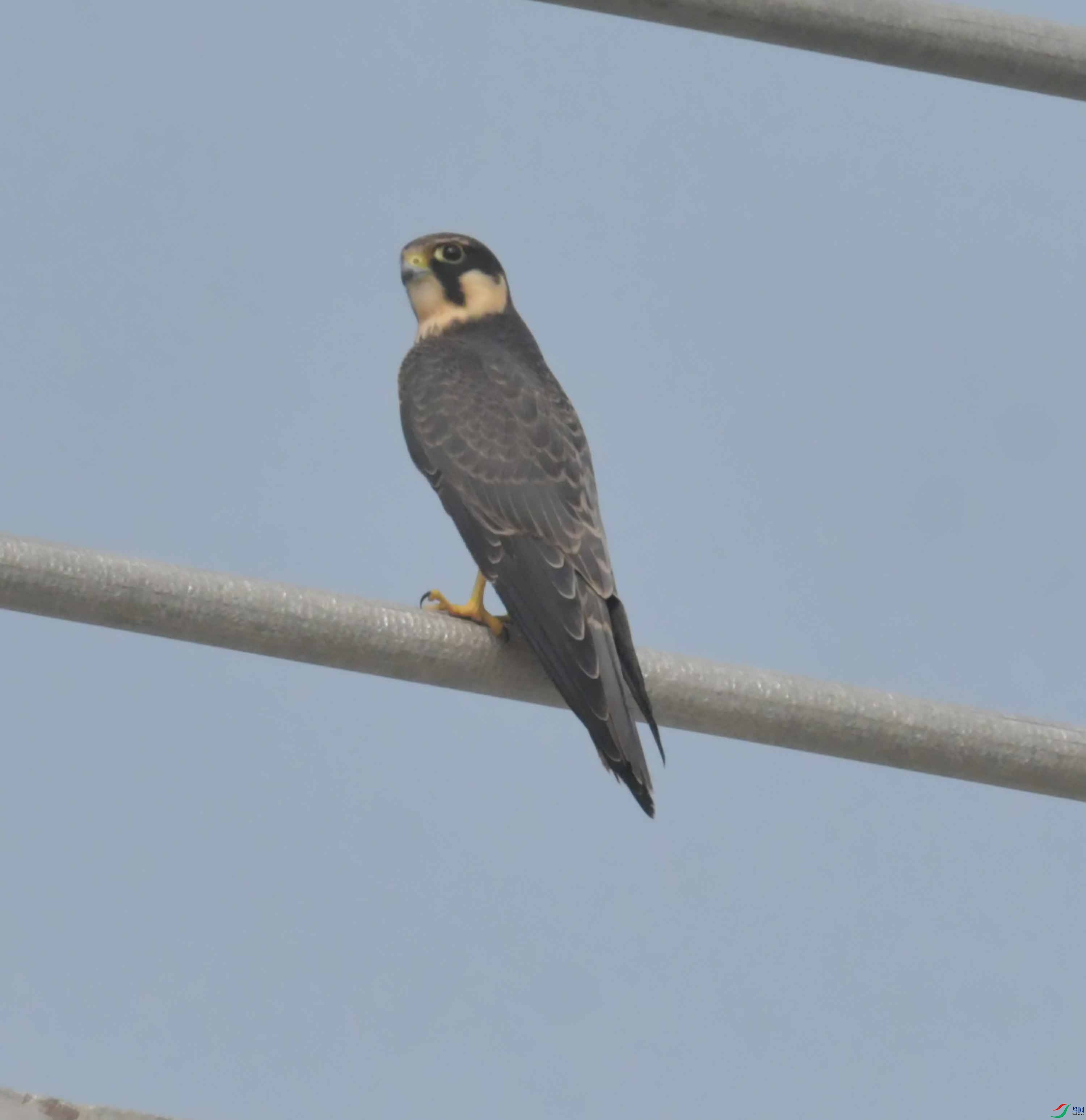 DSC_6759.JPG