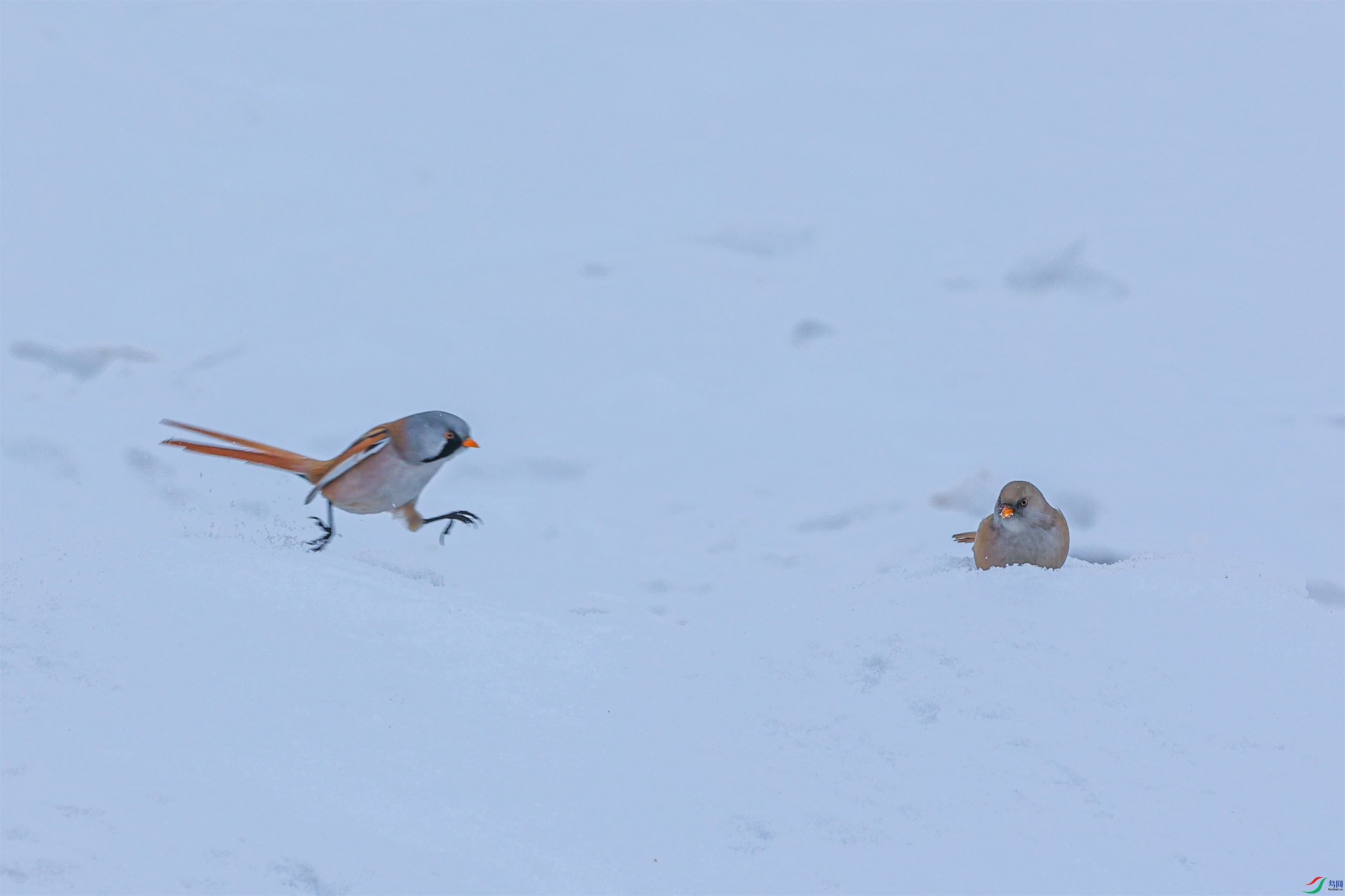 1K3A1623 ����1.jpg