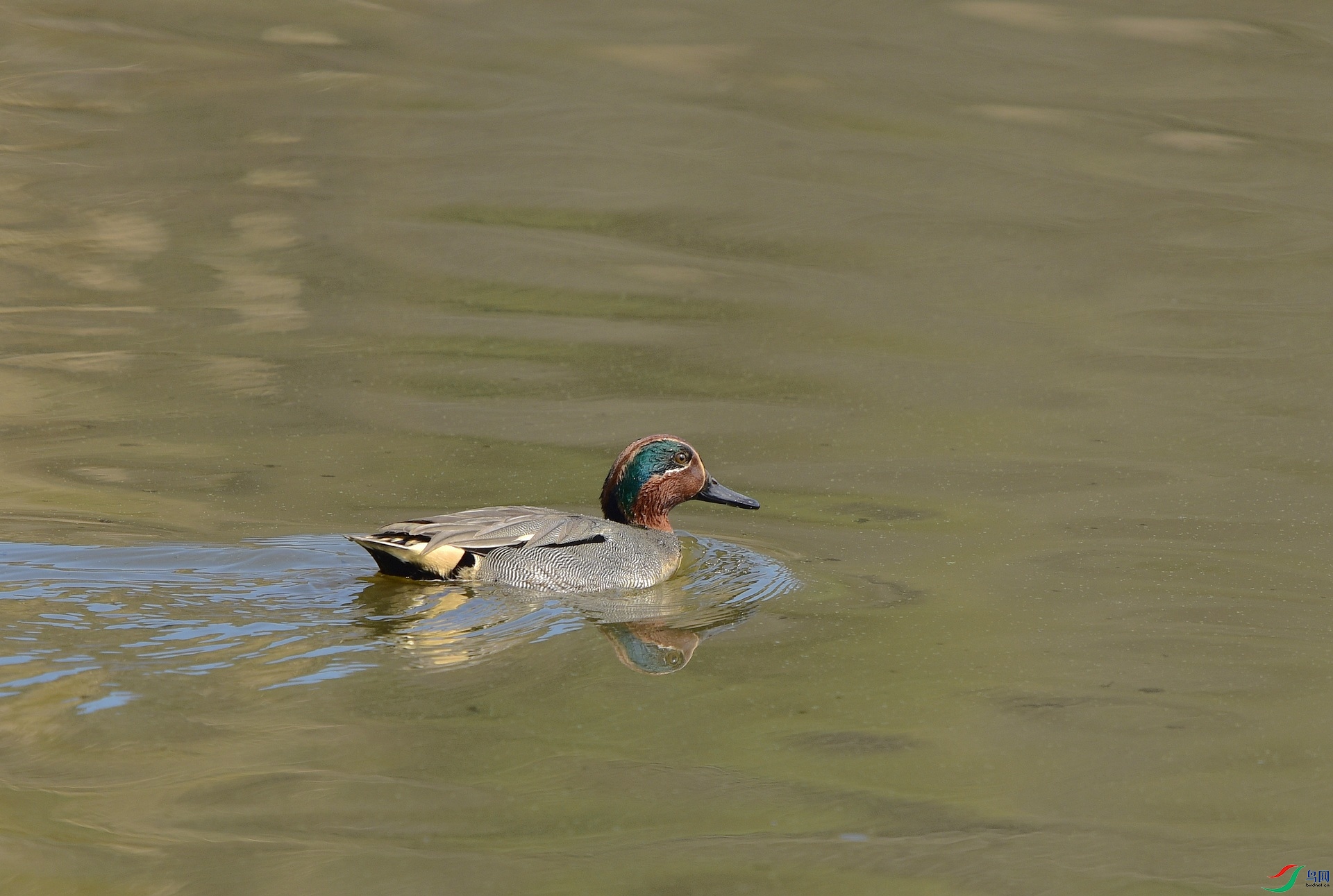 D8I_1035.jpg