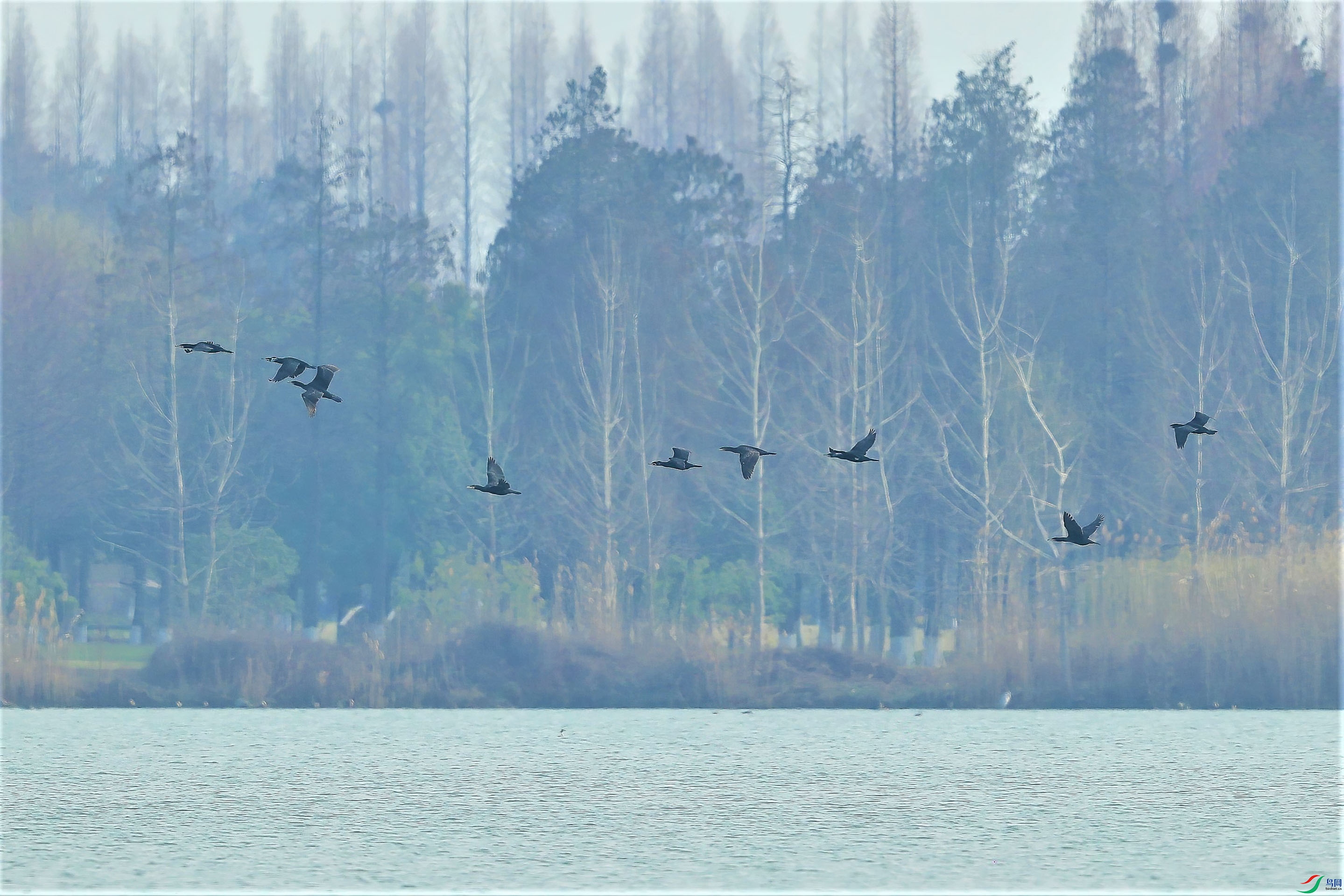 δ���� (1 - 1).jpg