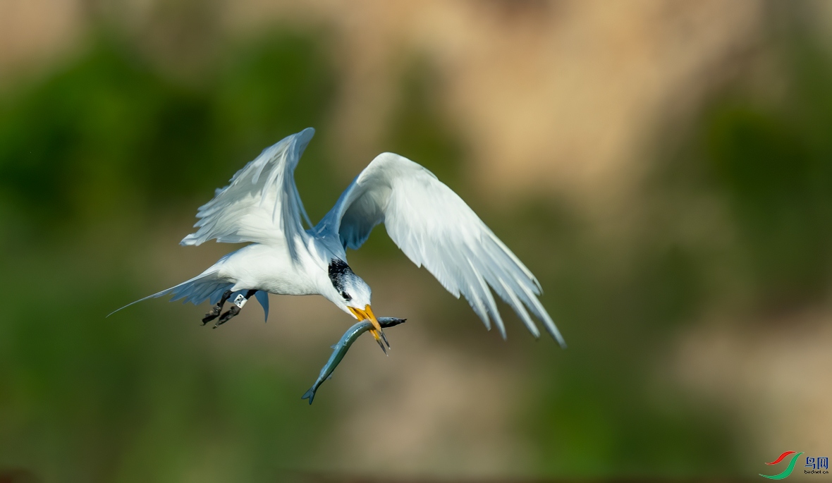 DSC_6380.jpg