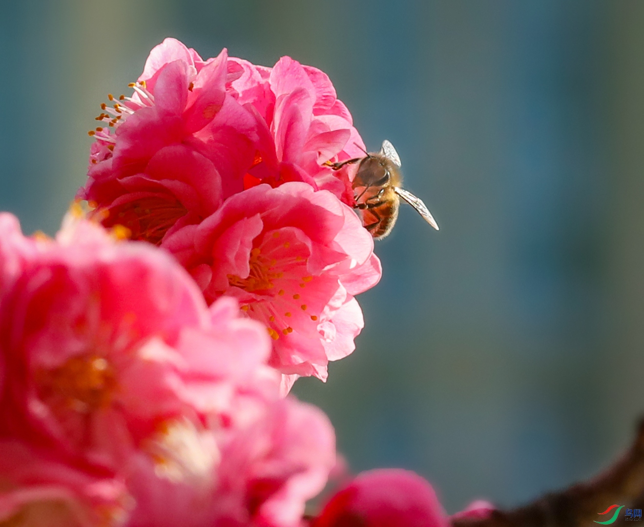 00000IMG_1586 ����693k0.jpg