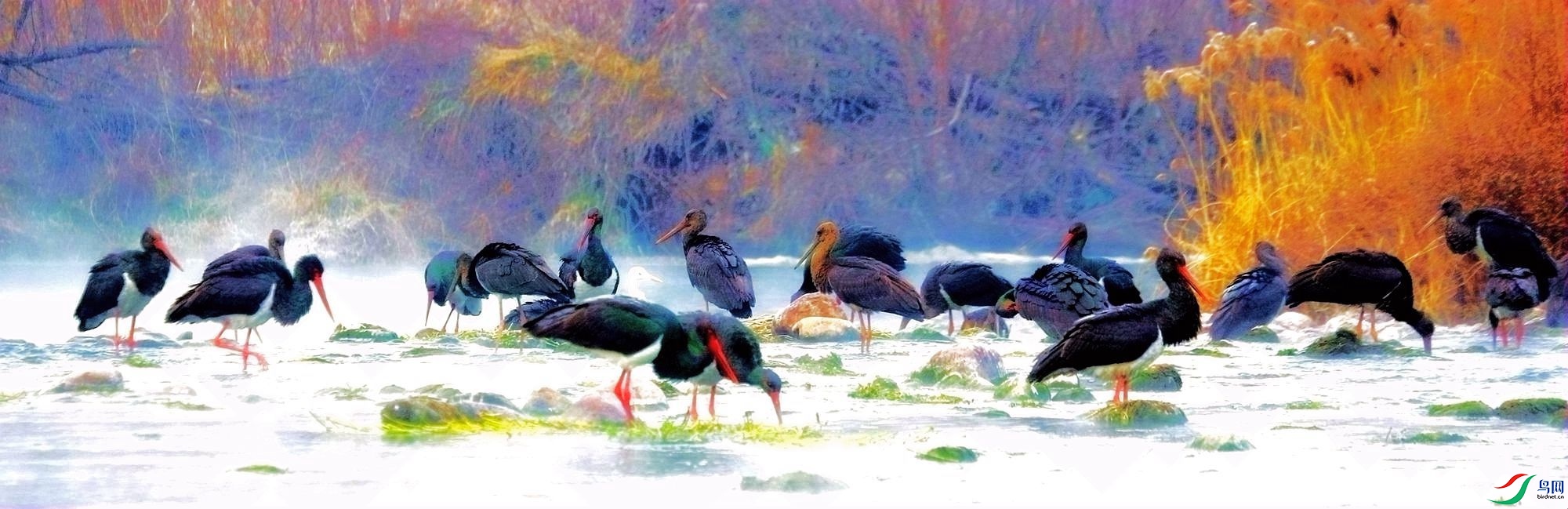 _MG_0986_00000.jpg