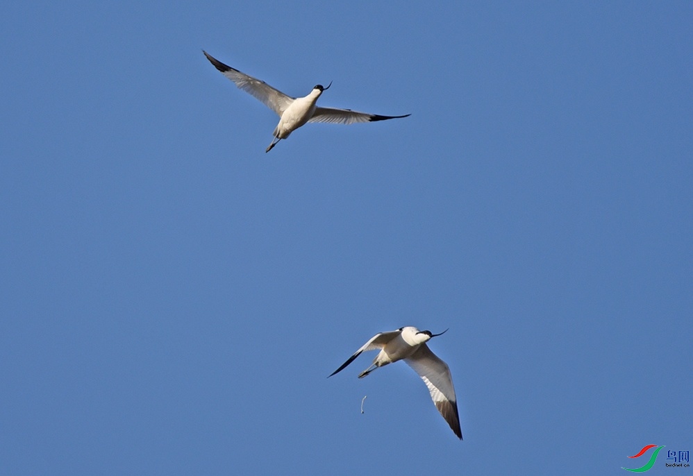 DSC_3303.jpg