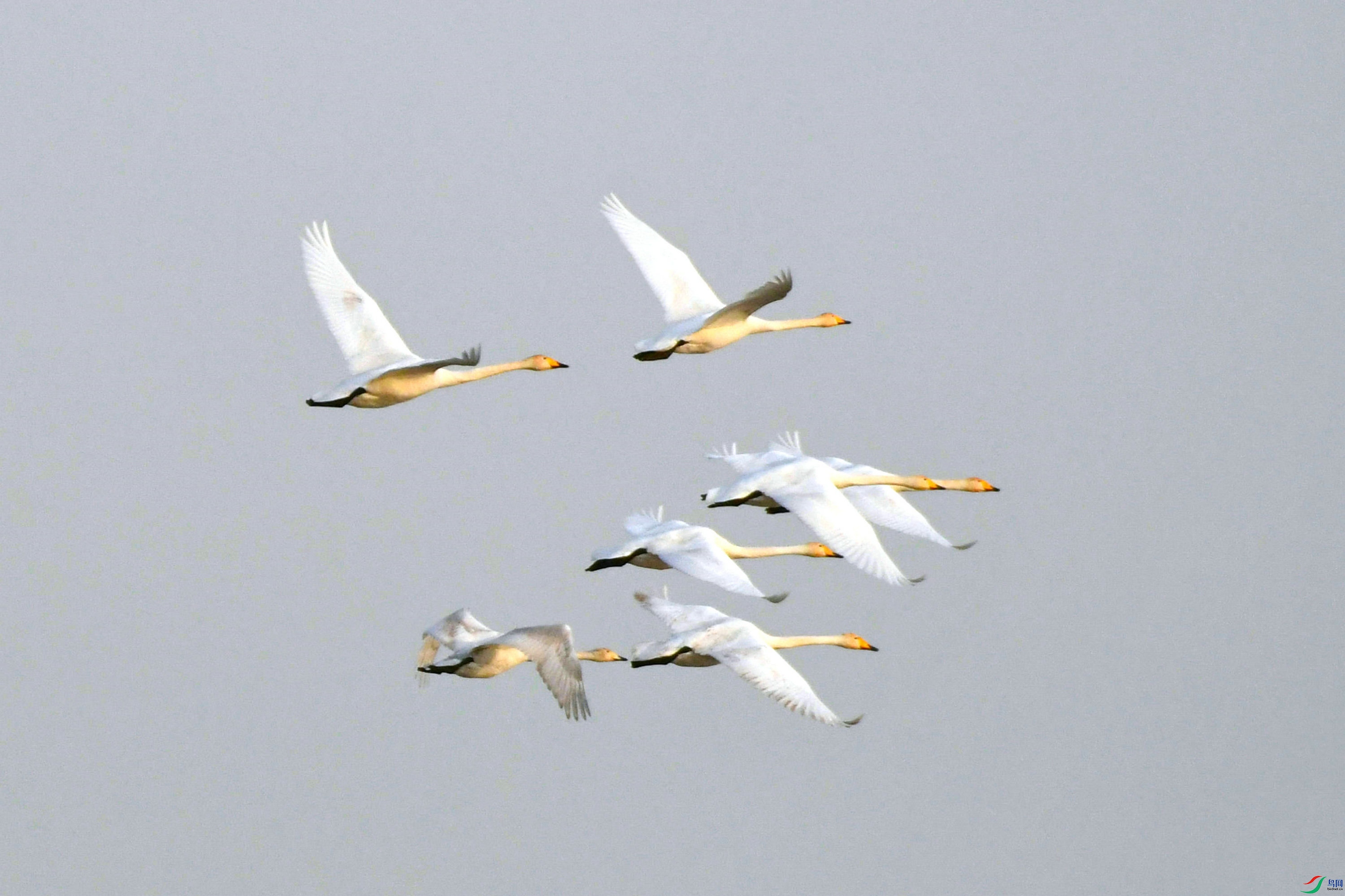 DSC_3566.JPG